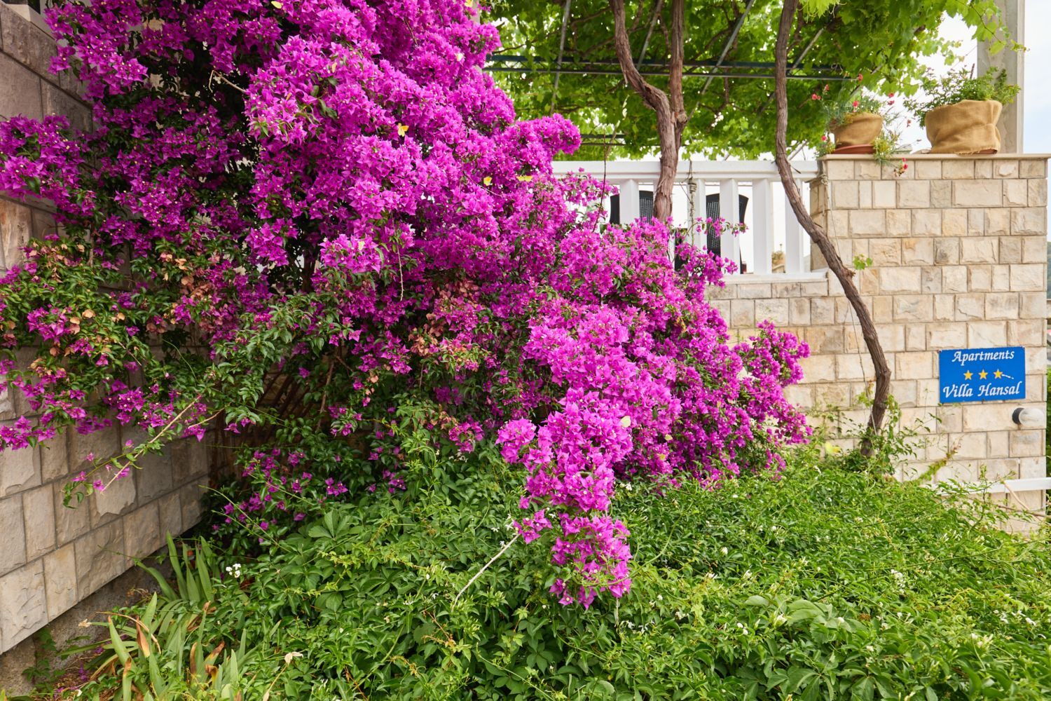 Apartments Hansal A5