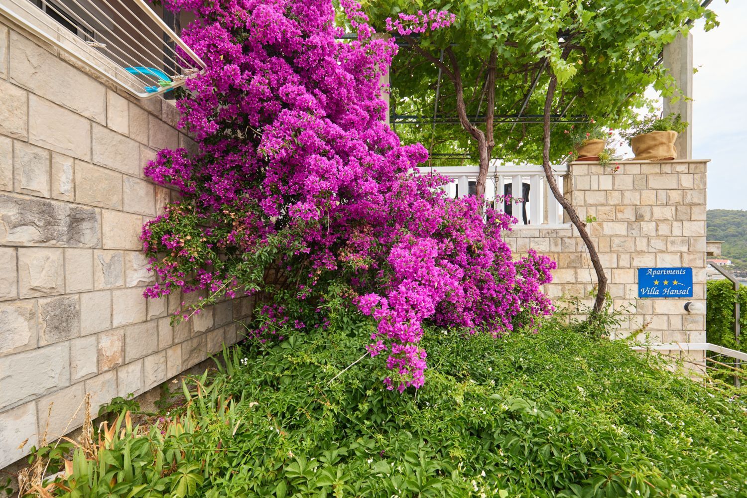 Apartments Hansal A5