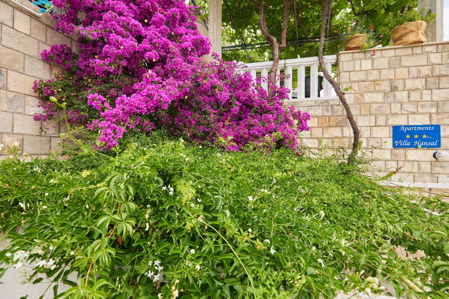 Apartments Hansal A5