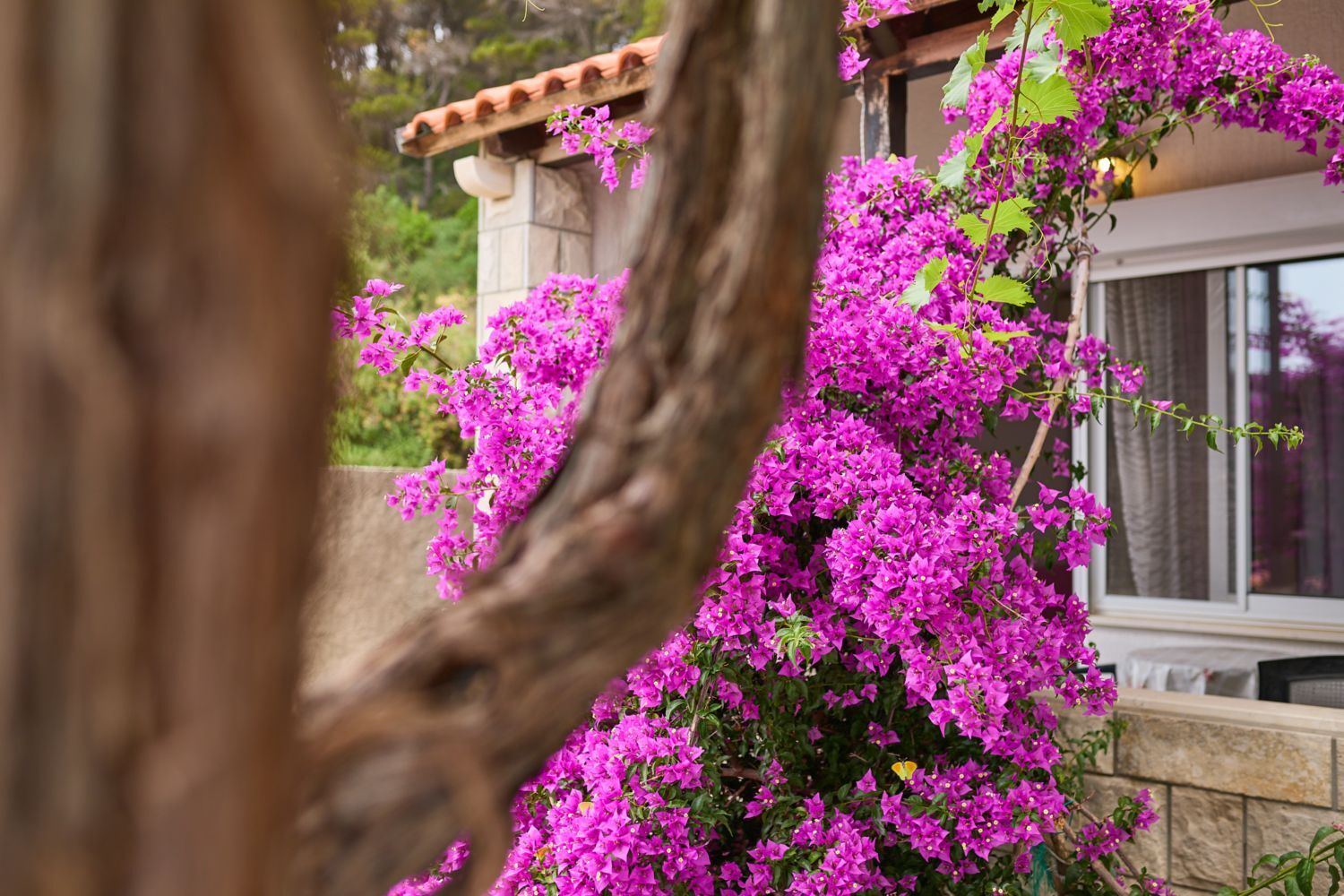 Apartments Hansal A5