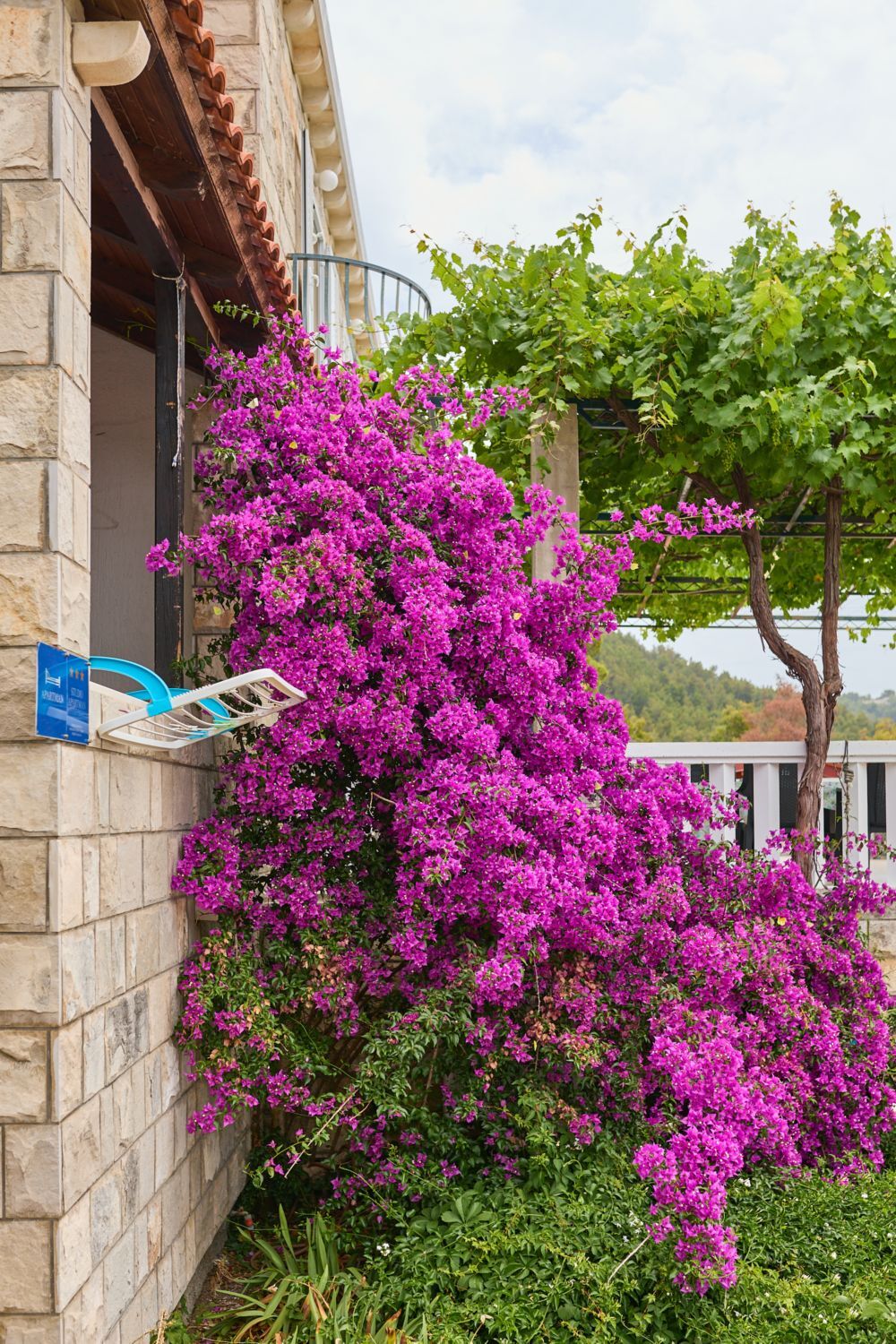 Apartments Hansal A5