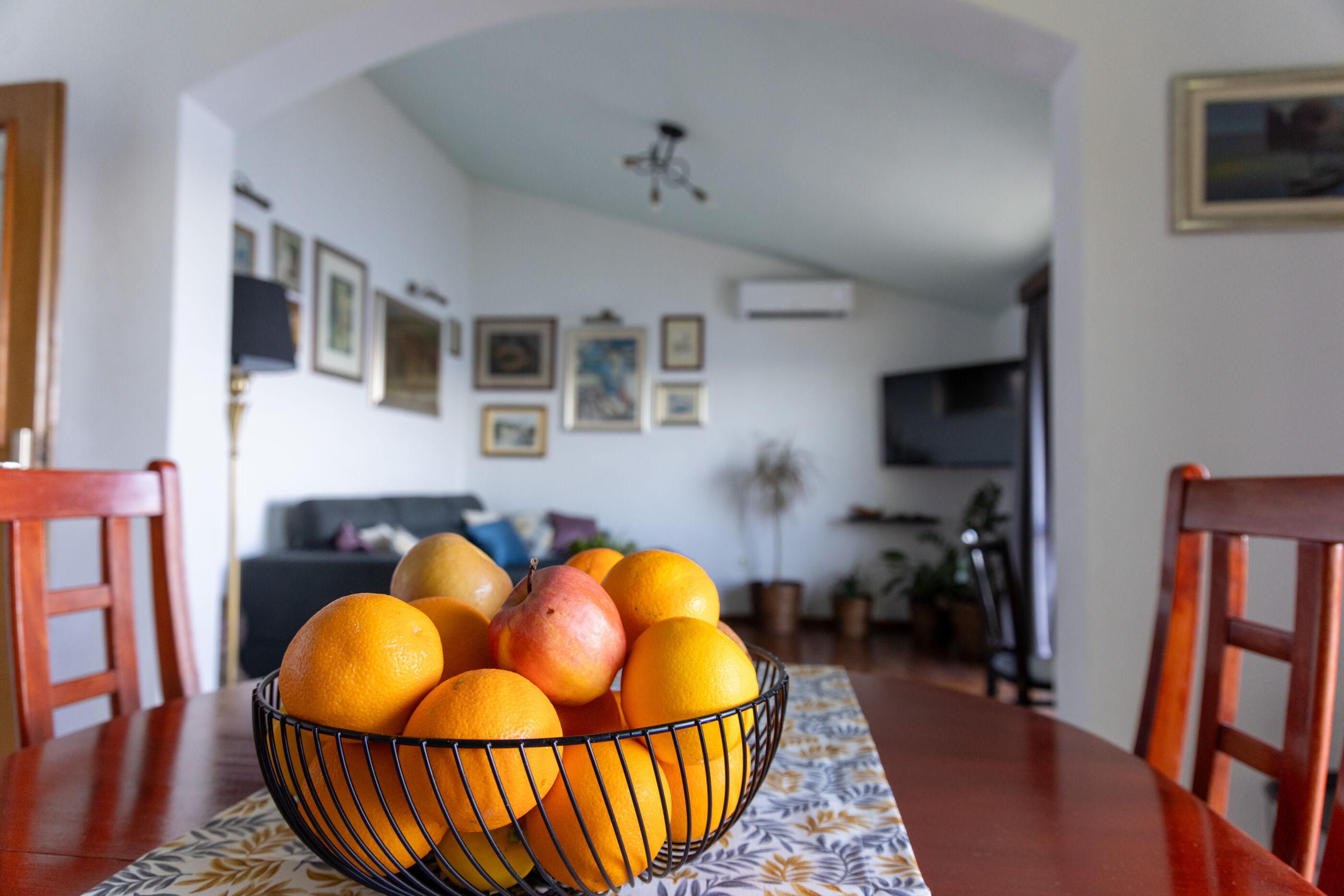 Apartments Dijana 10369-A1