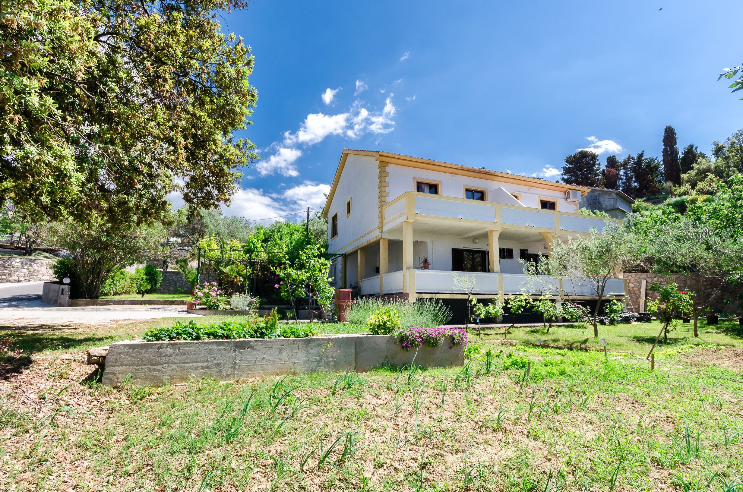 Apartment Vera 116091-A1