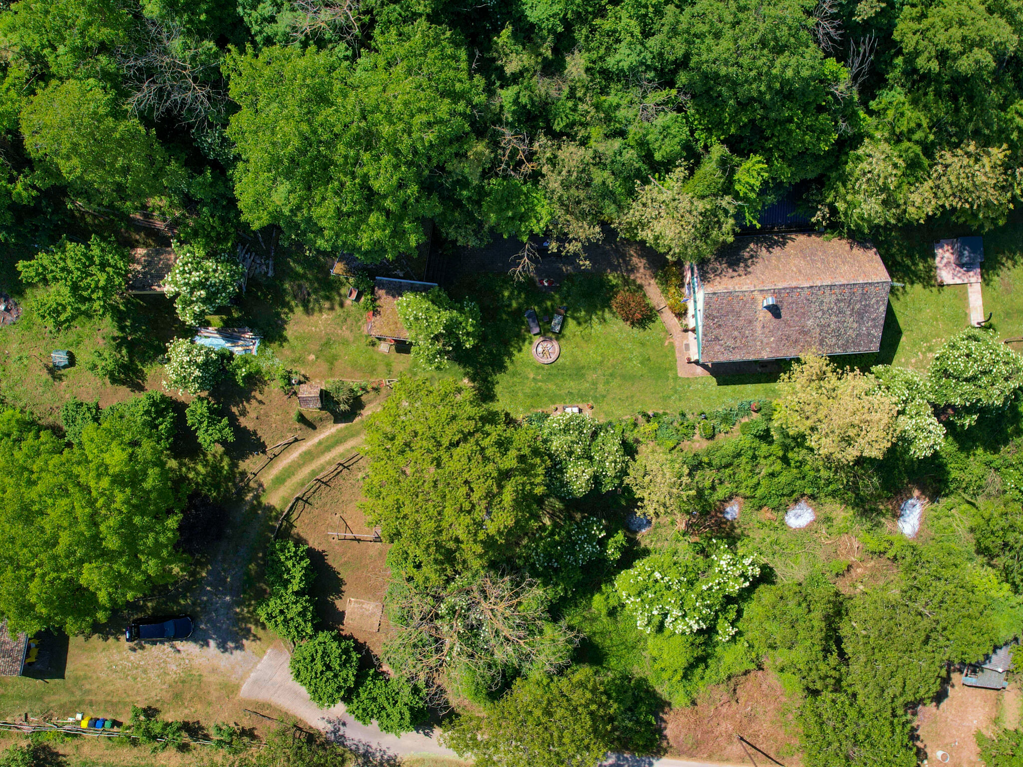 House Bogdan 110691-K1