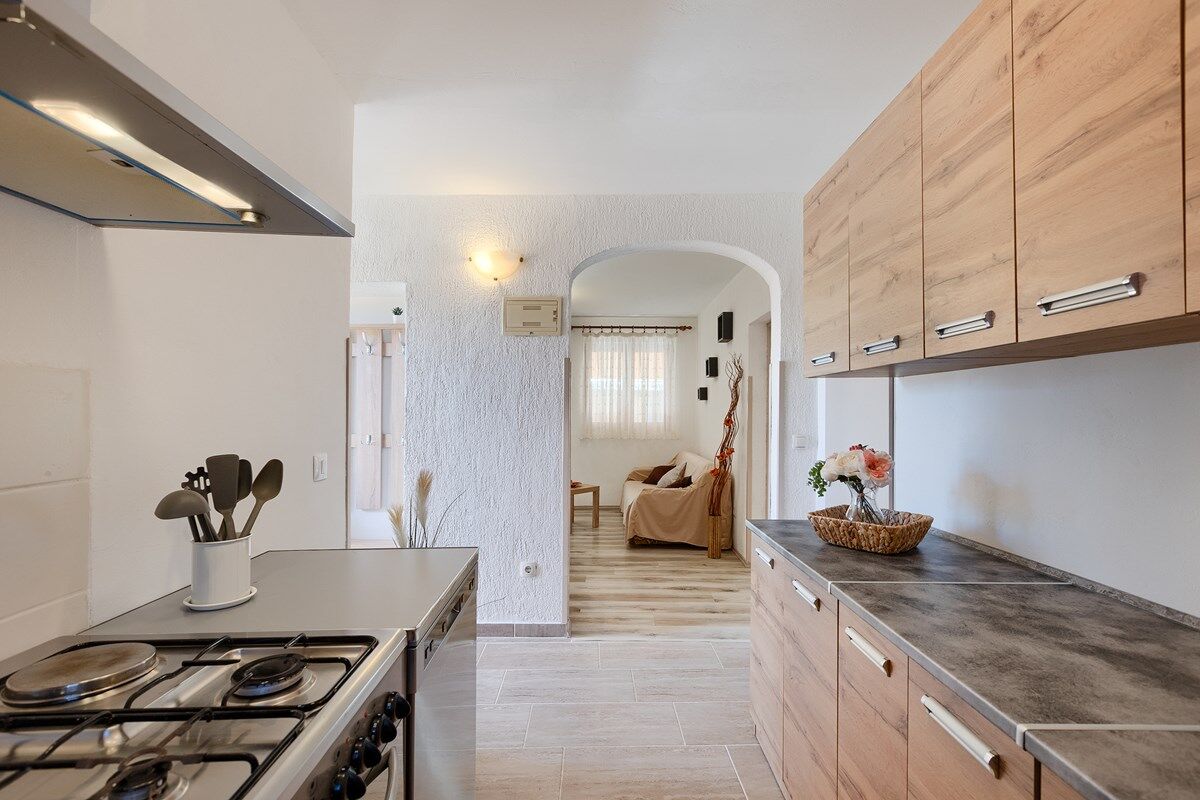 House Tangerine 74336-A1