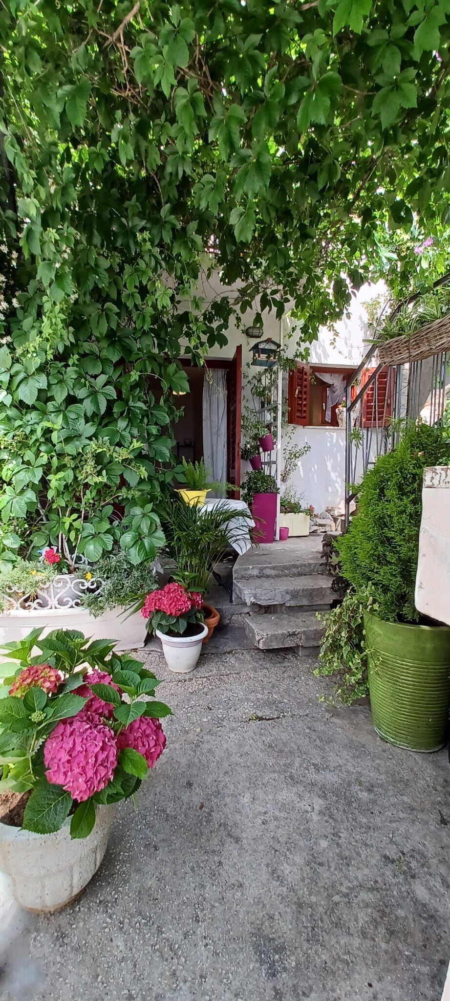 Apartment Nasta 105021-A4