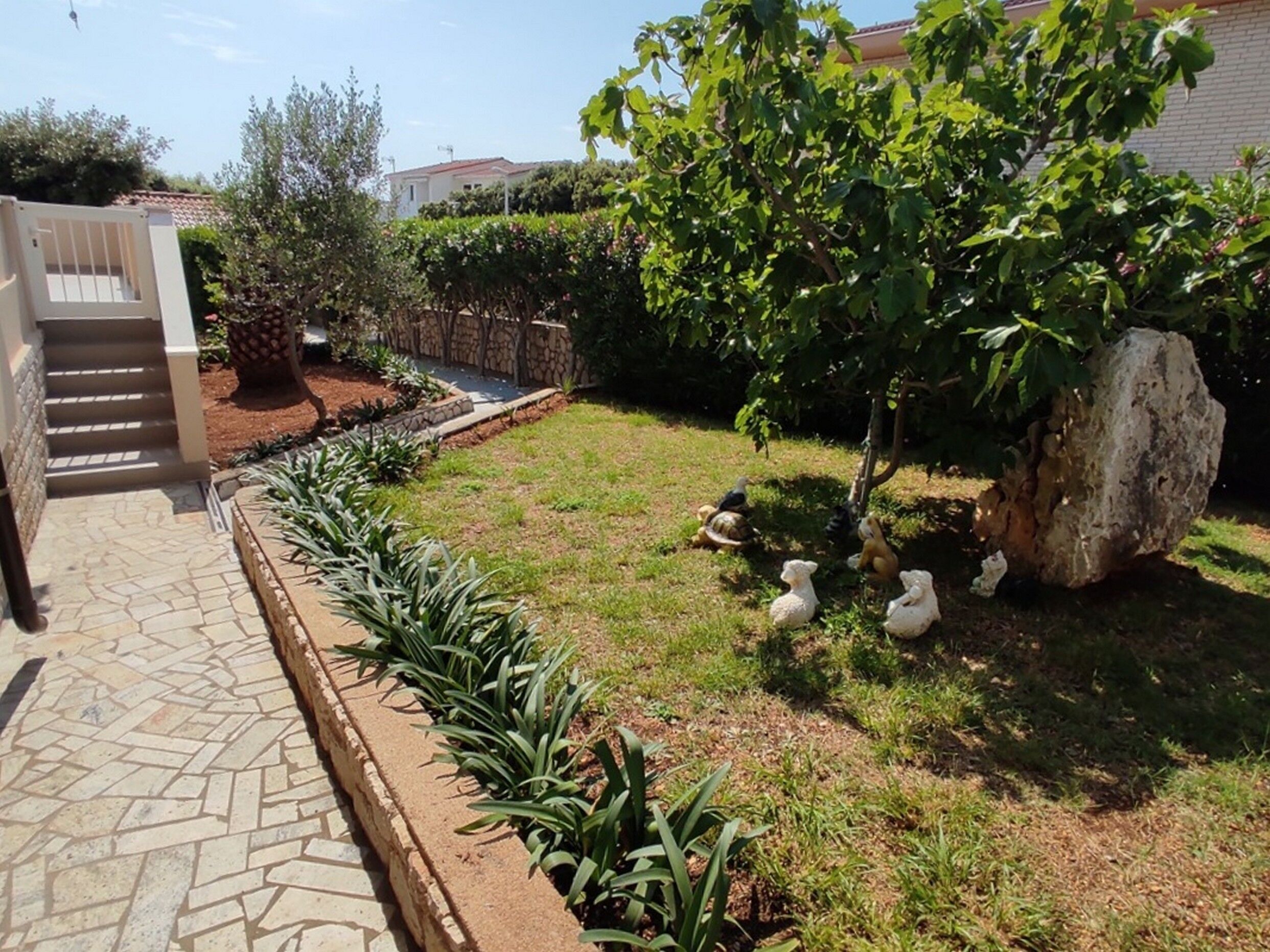 Apartments Mandre near sea 116191-A9