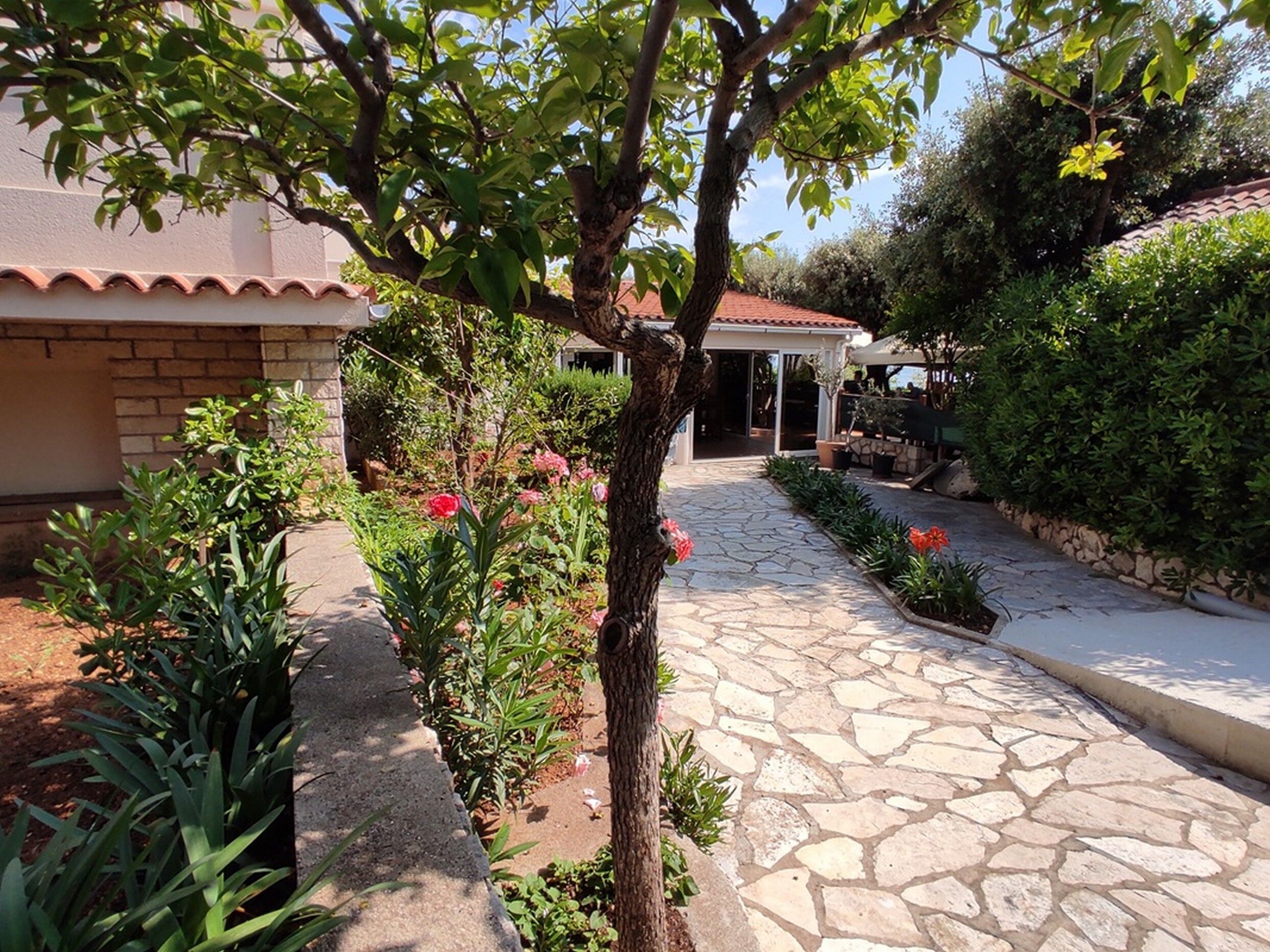 Apartments Mandre near sea 116191-A9