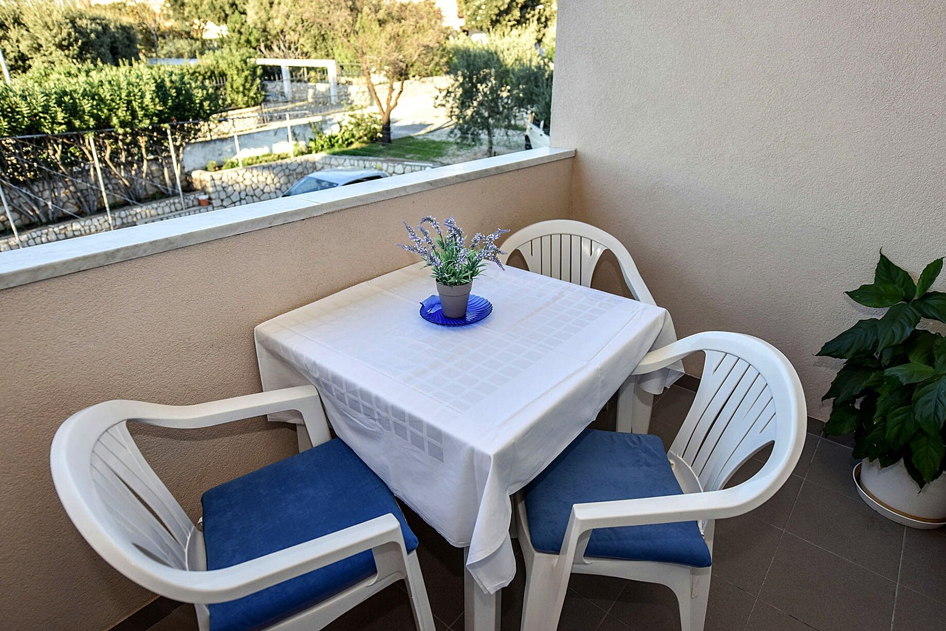 Apartments Mandre near sea 116191-A10