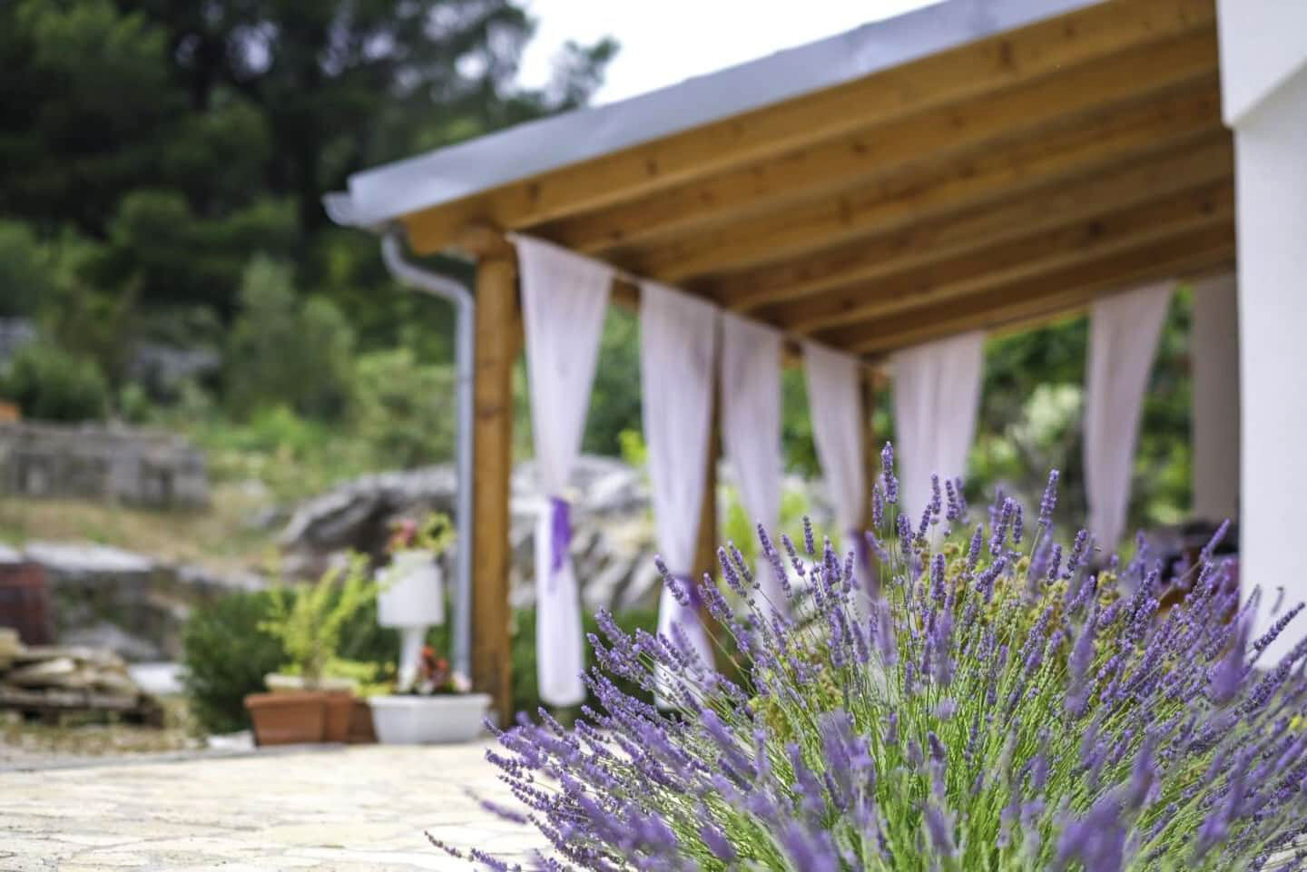 House Marie’s Lavander Dream 116221-K1