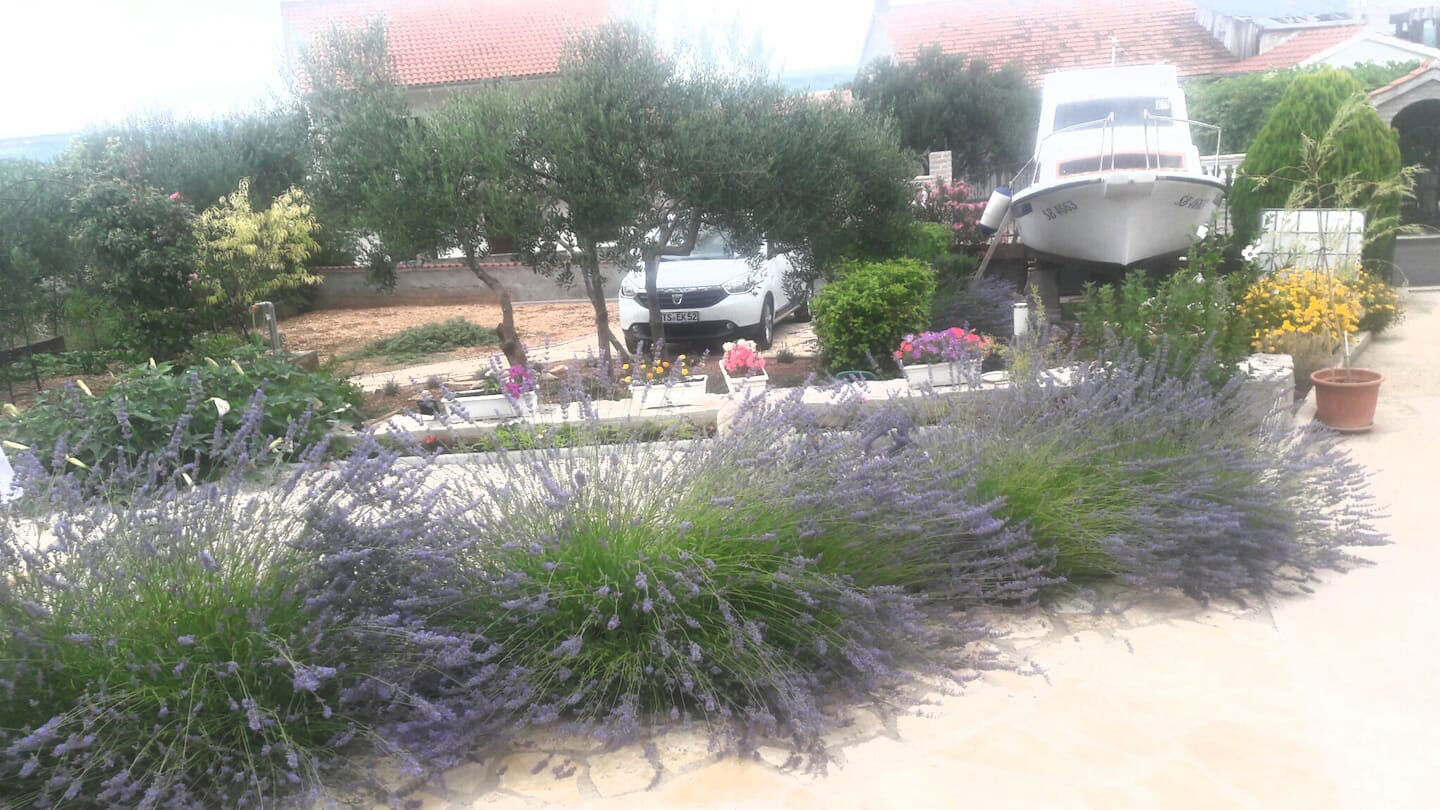 House Marie’s Lavander Dream 116221-K1