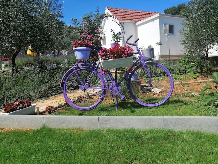 House Marie’s Lavander Dream 116221-K1