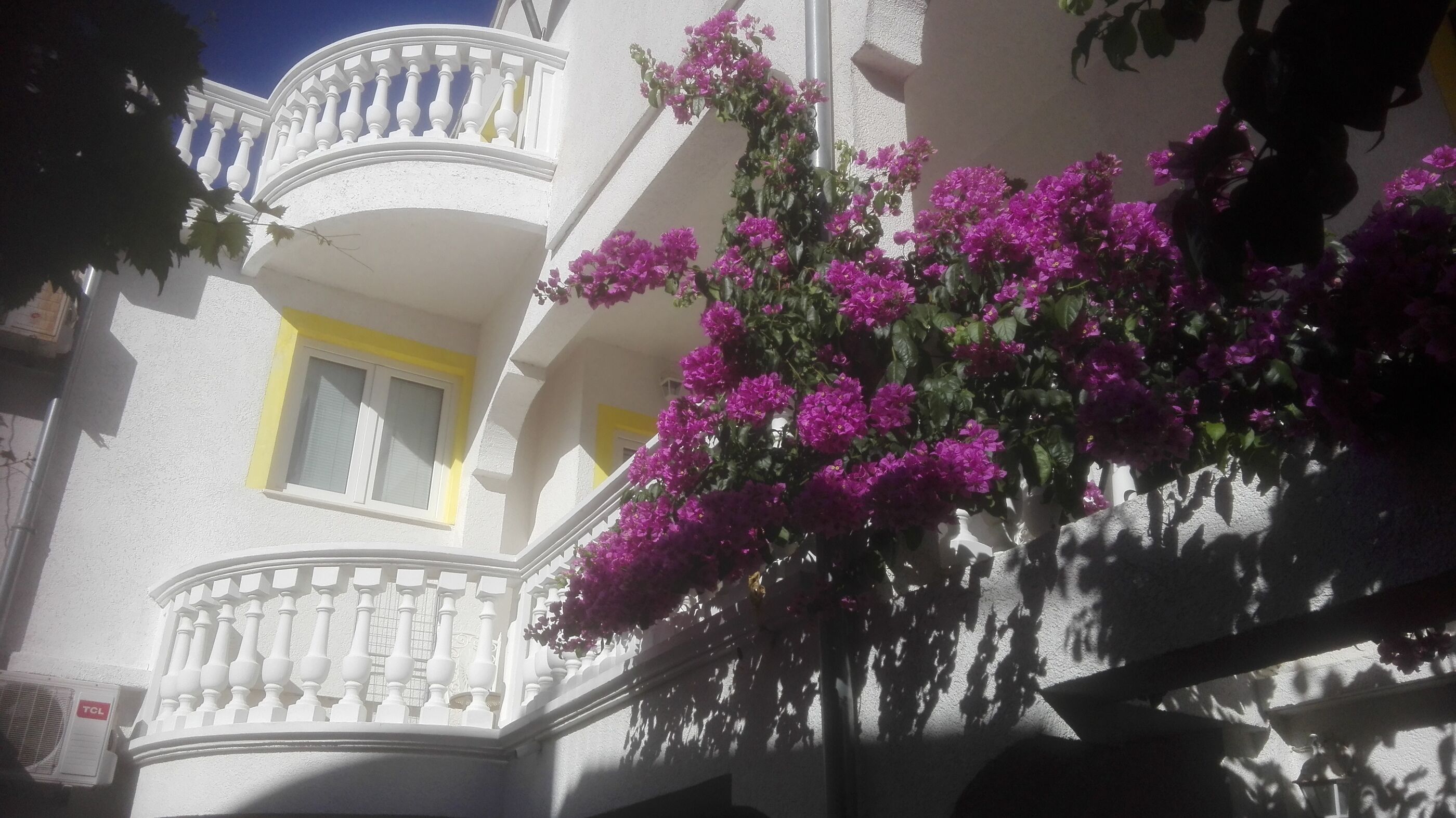 Apartments Ksenija 10503-A5