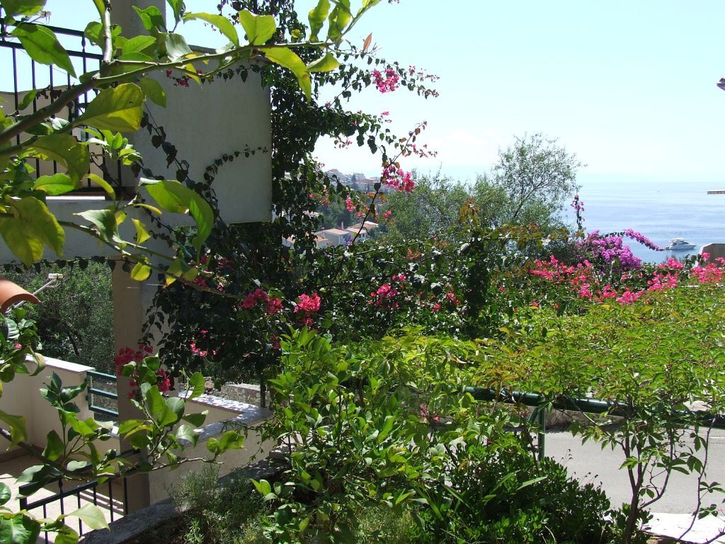 Apartments Taja 116261-A1