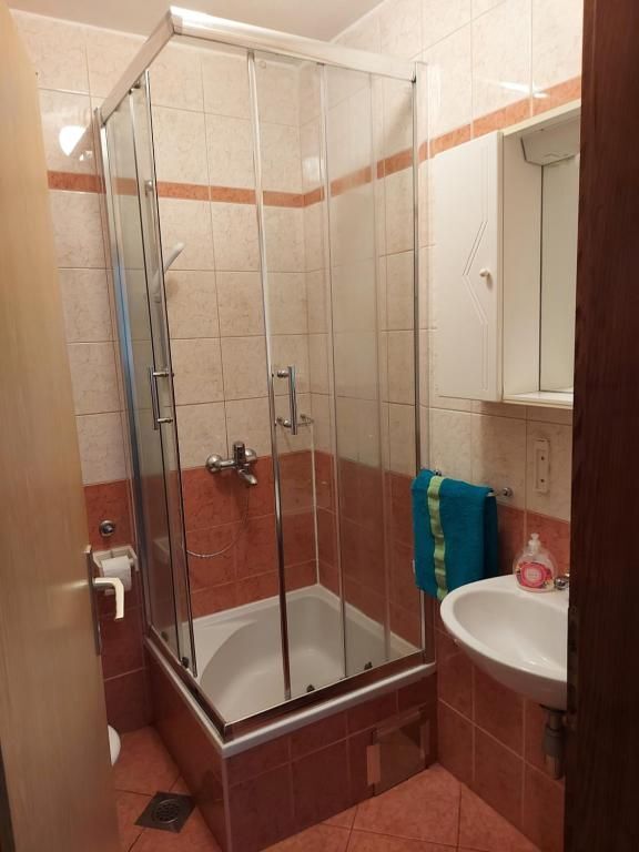Apartments Taja 116261-A2