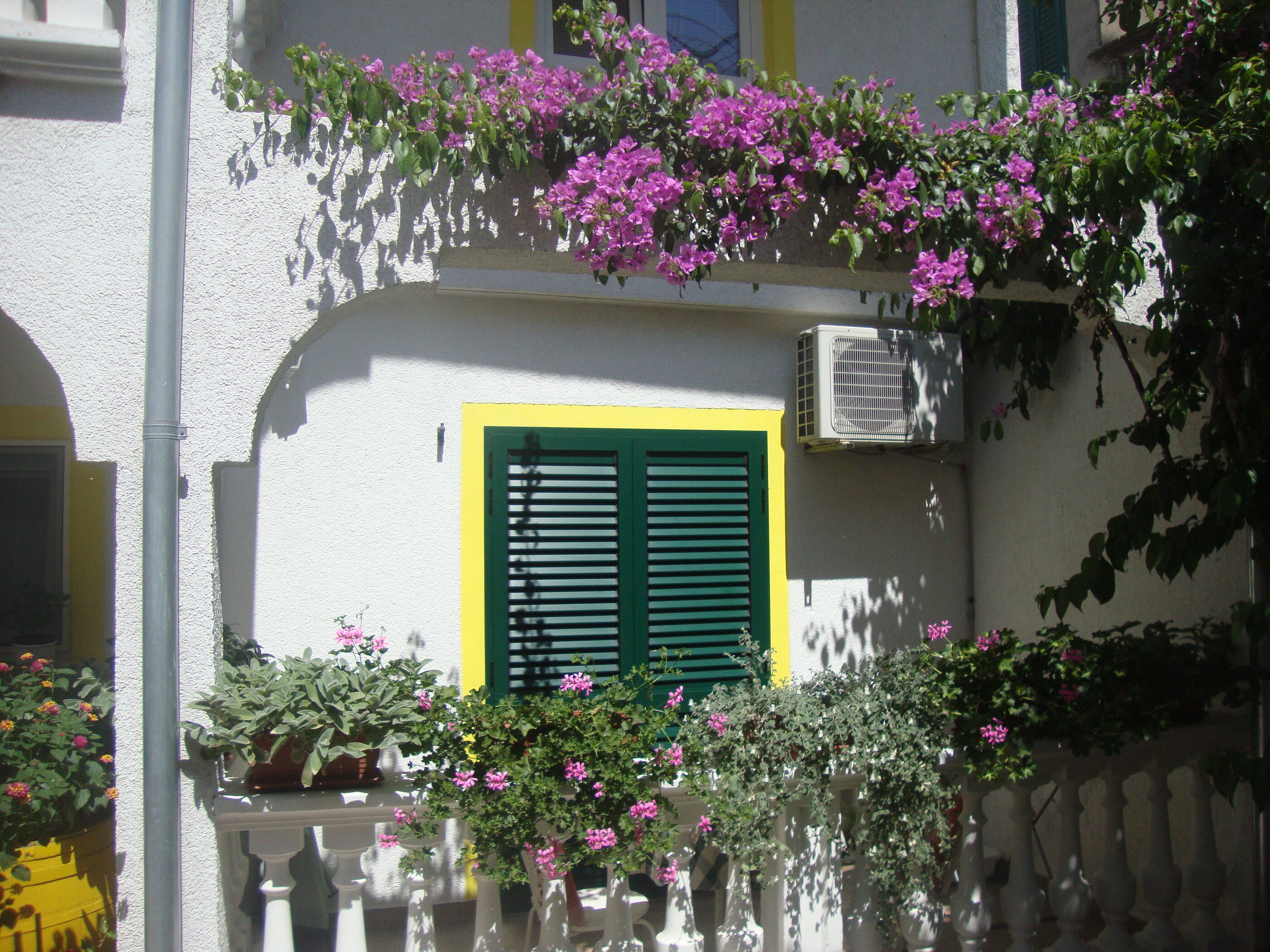 Apartments Ksenija 10503-A3