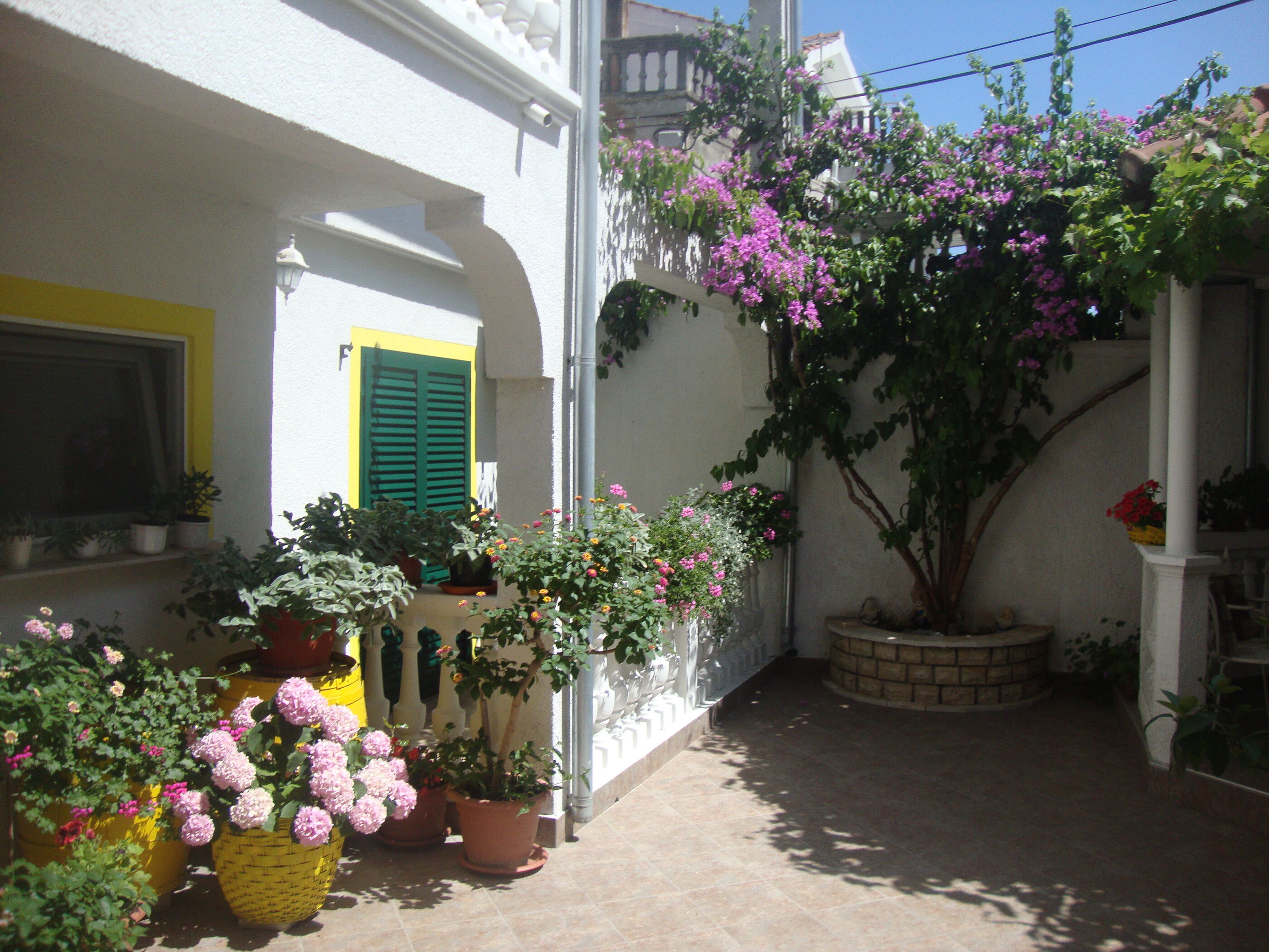 Apartments Ksenija 10503-A3