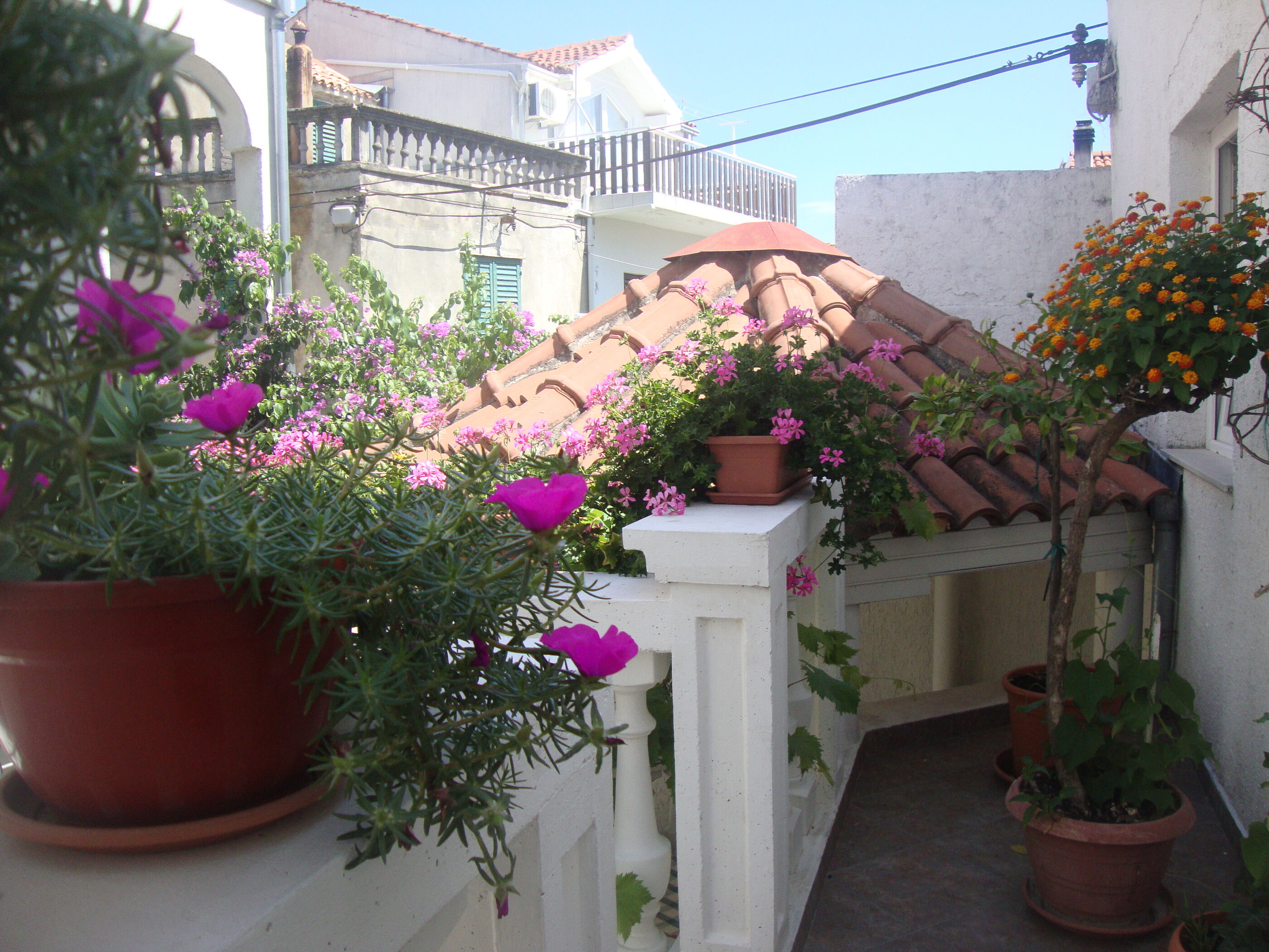 Apartments Ksenija 10503-A4
