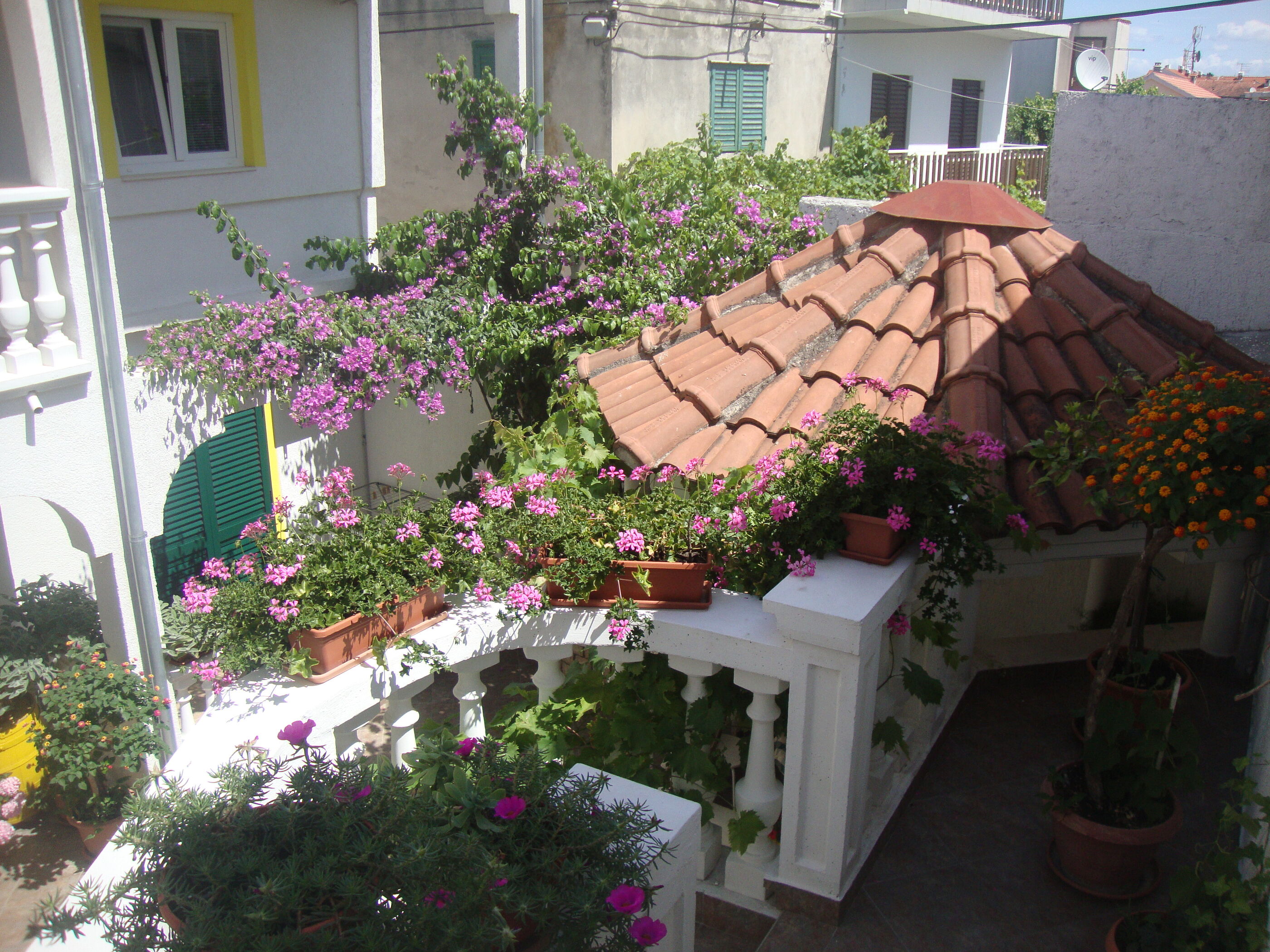 Apartments Ksenija 10503-A4