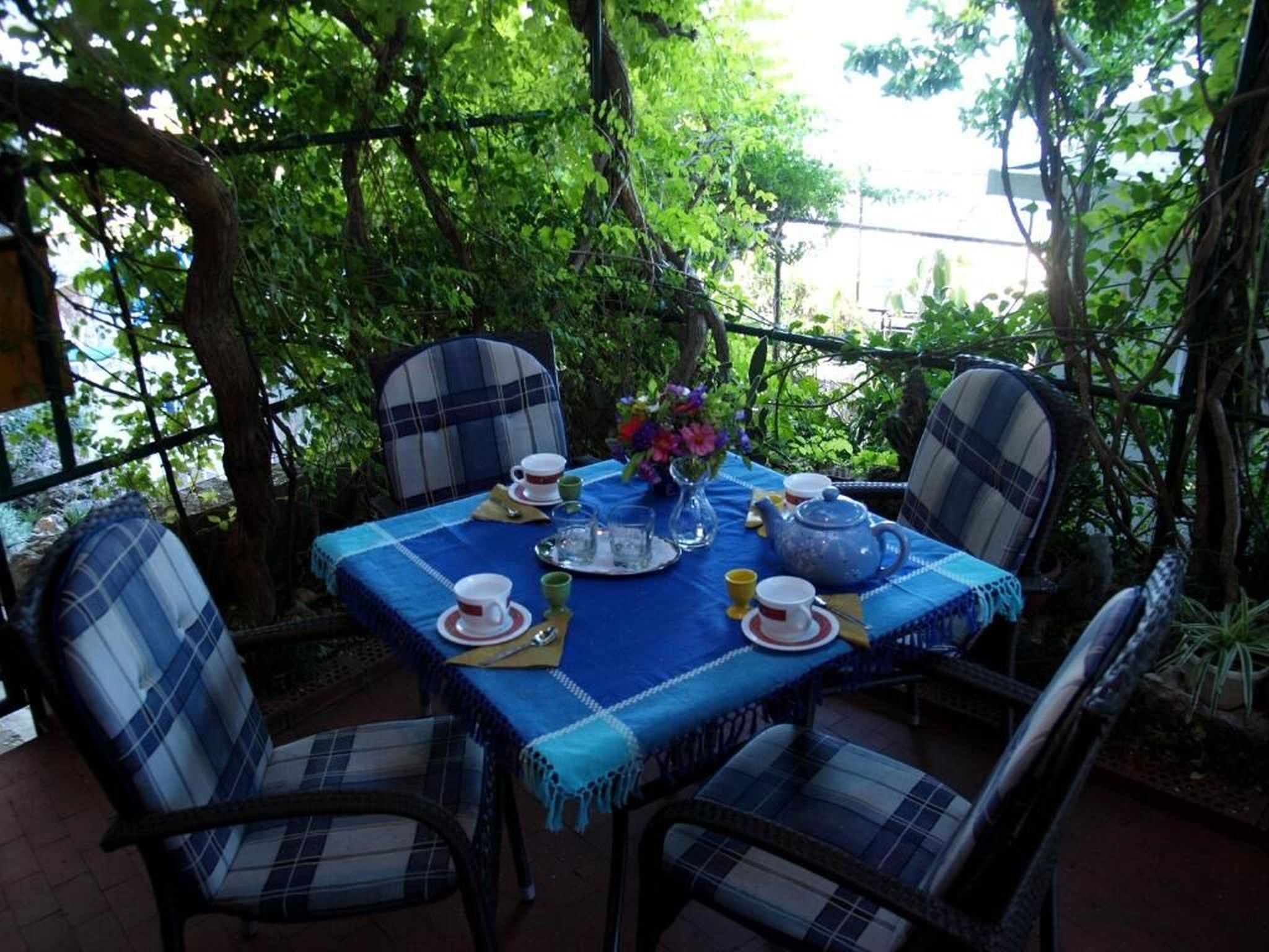 Apartment Haus Franciska 115261-A1