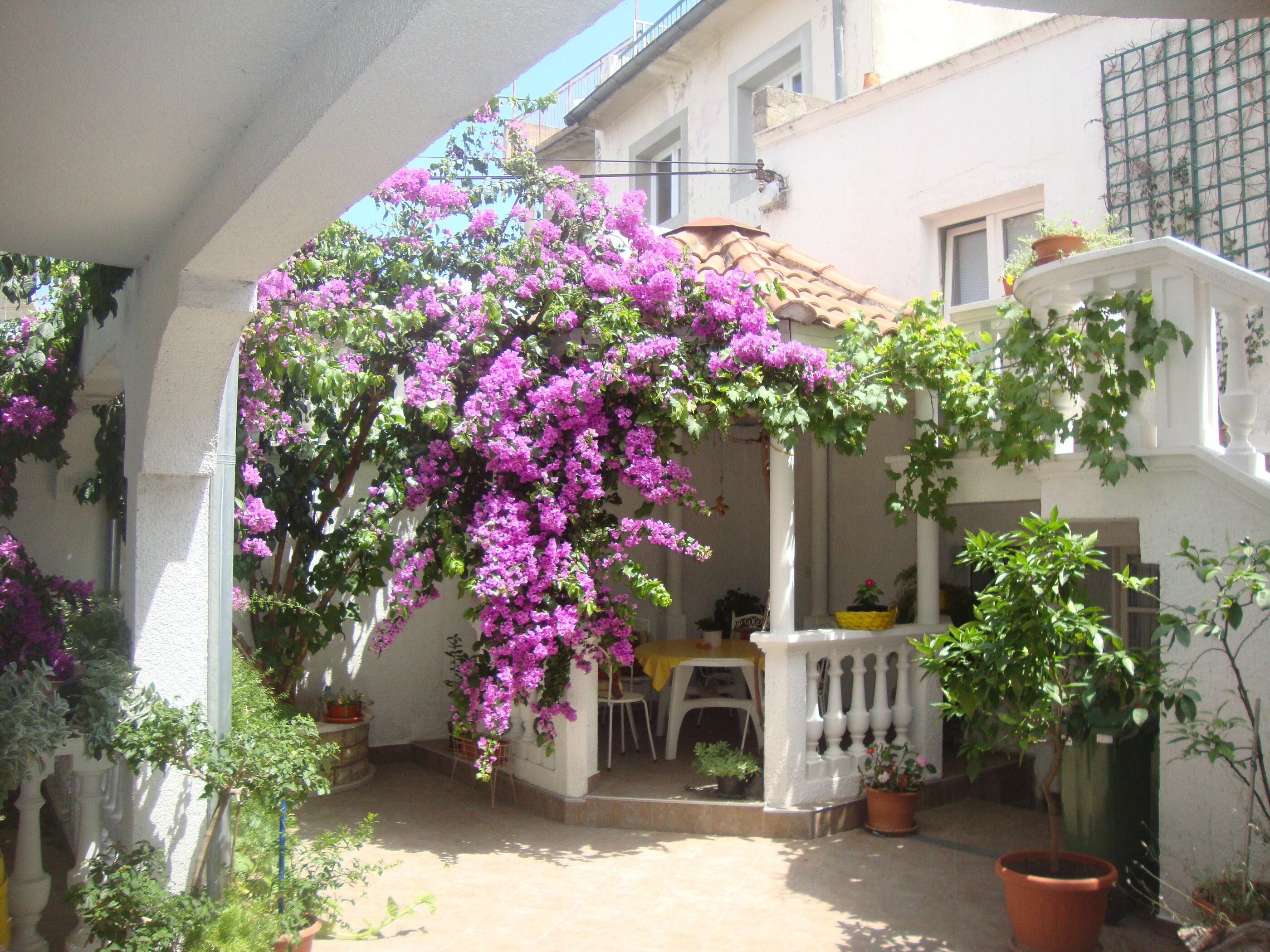 Apartments Ksenija 10503-A5
