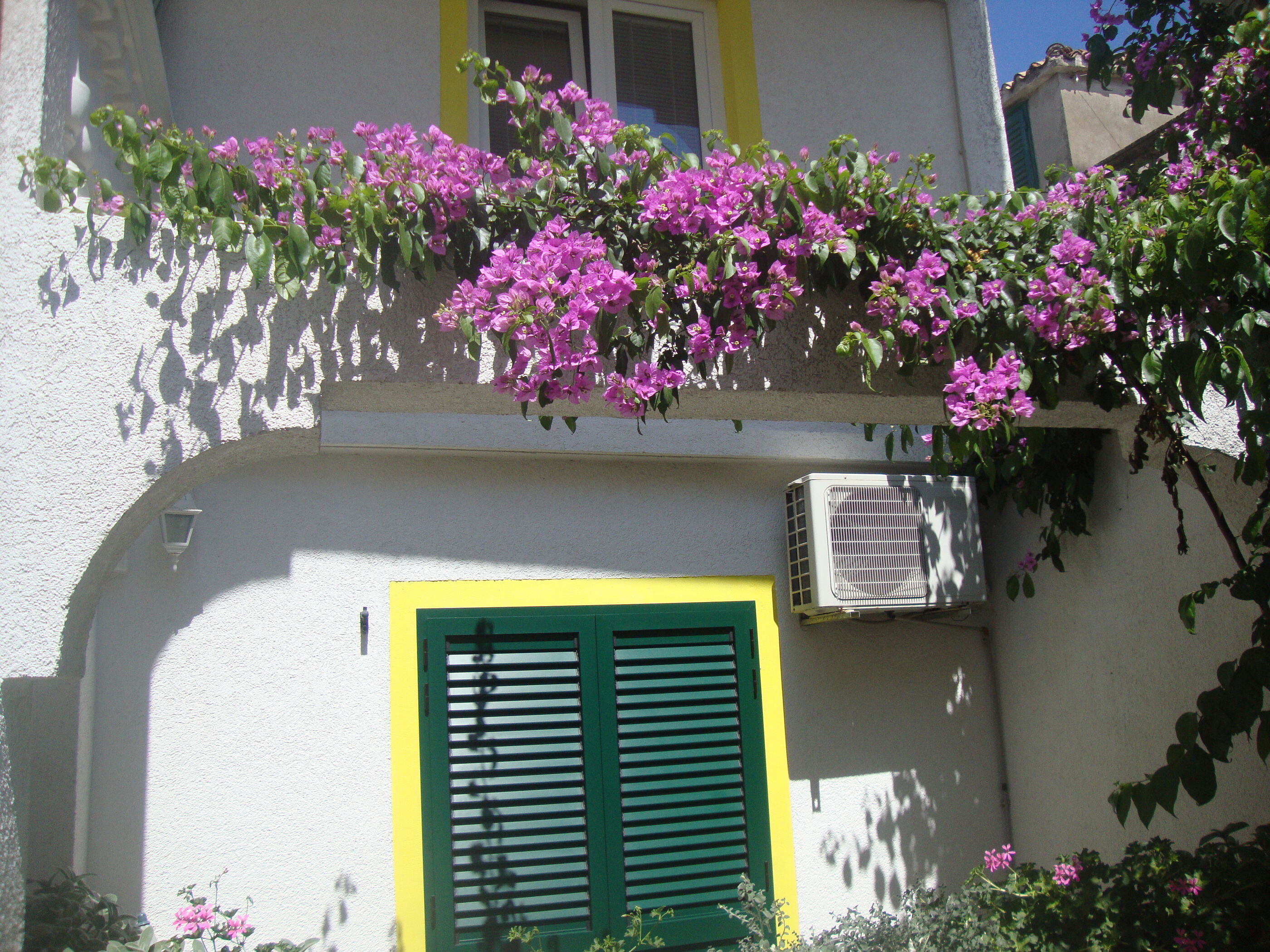 Apartments Ksenija 10503-A5