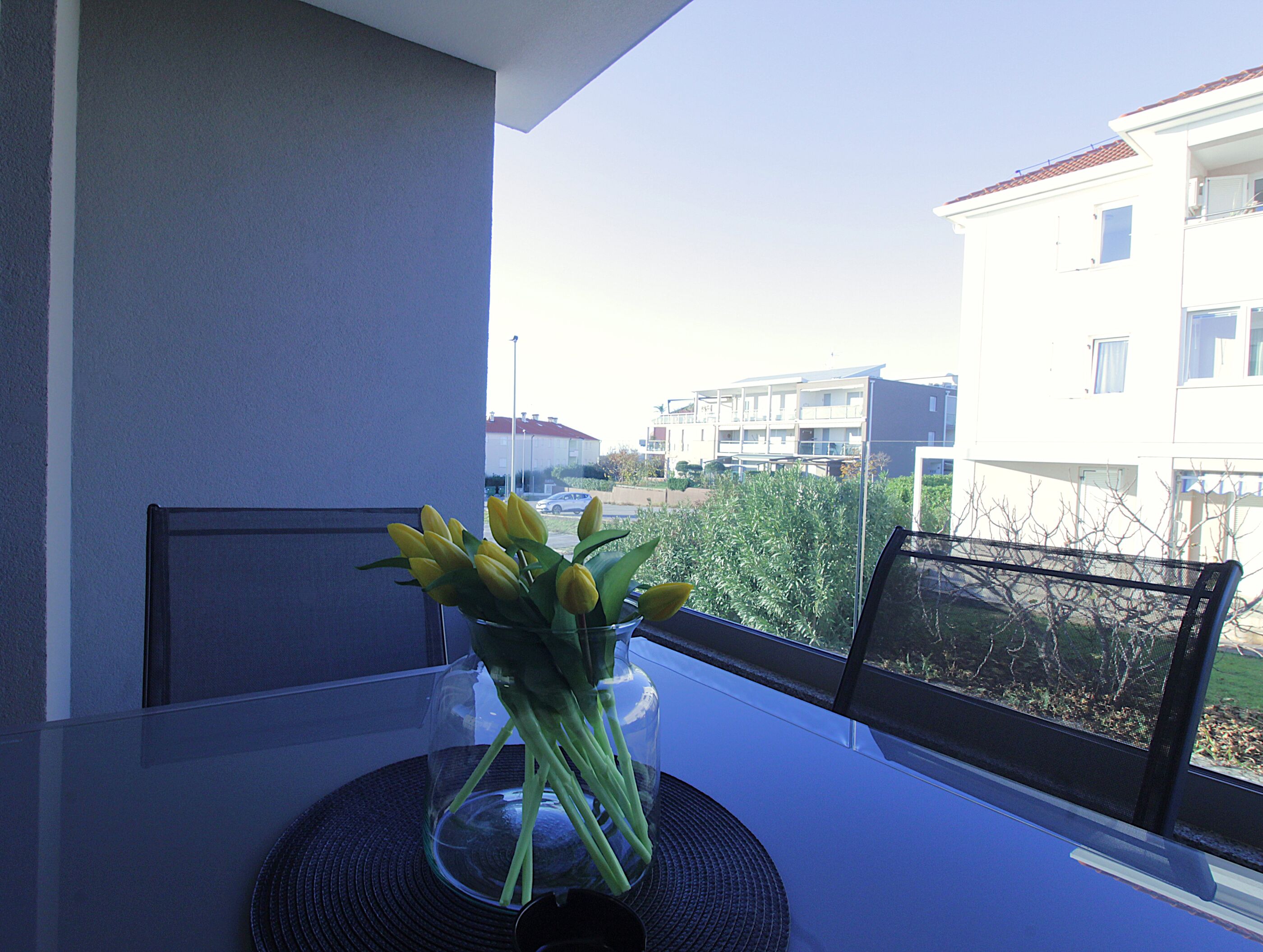 Apartments Frank 107021-A8