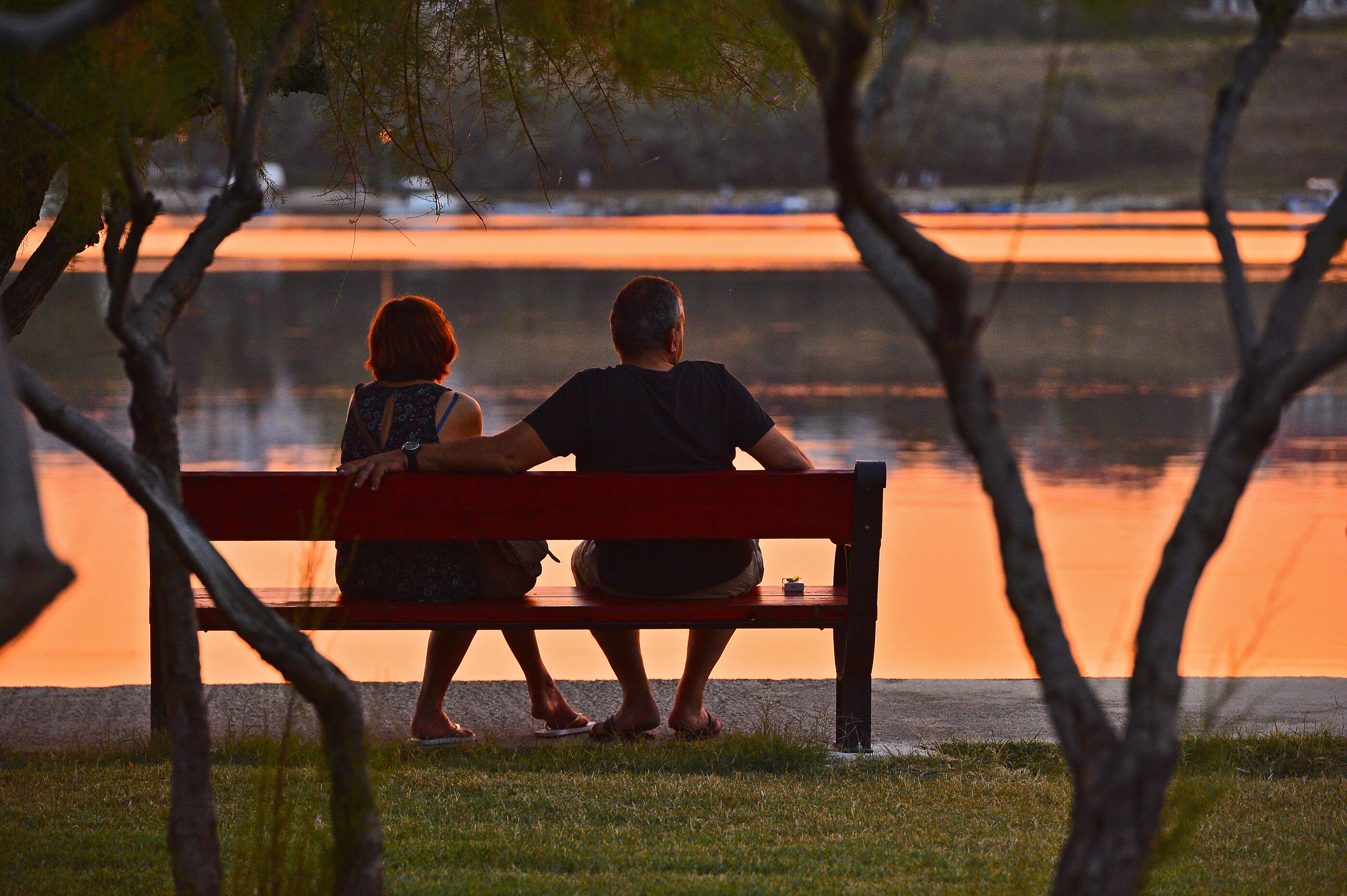 Photo of Apartment Šime