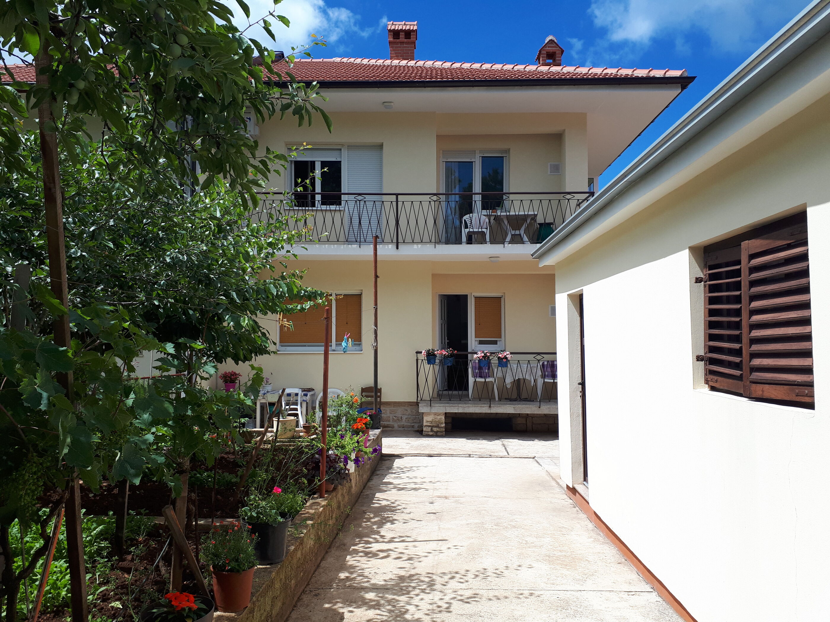 Apartment Petunija 116371-A1