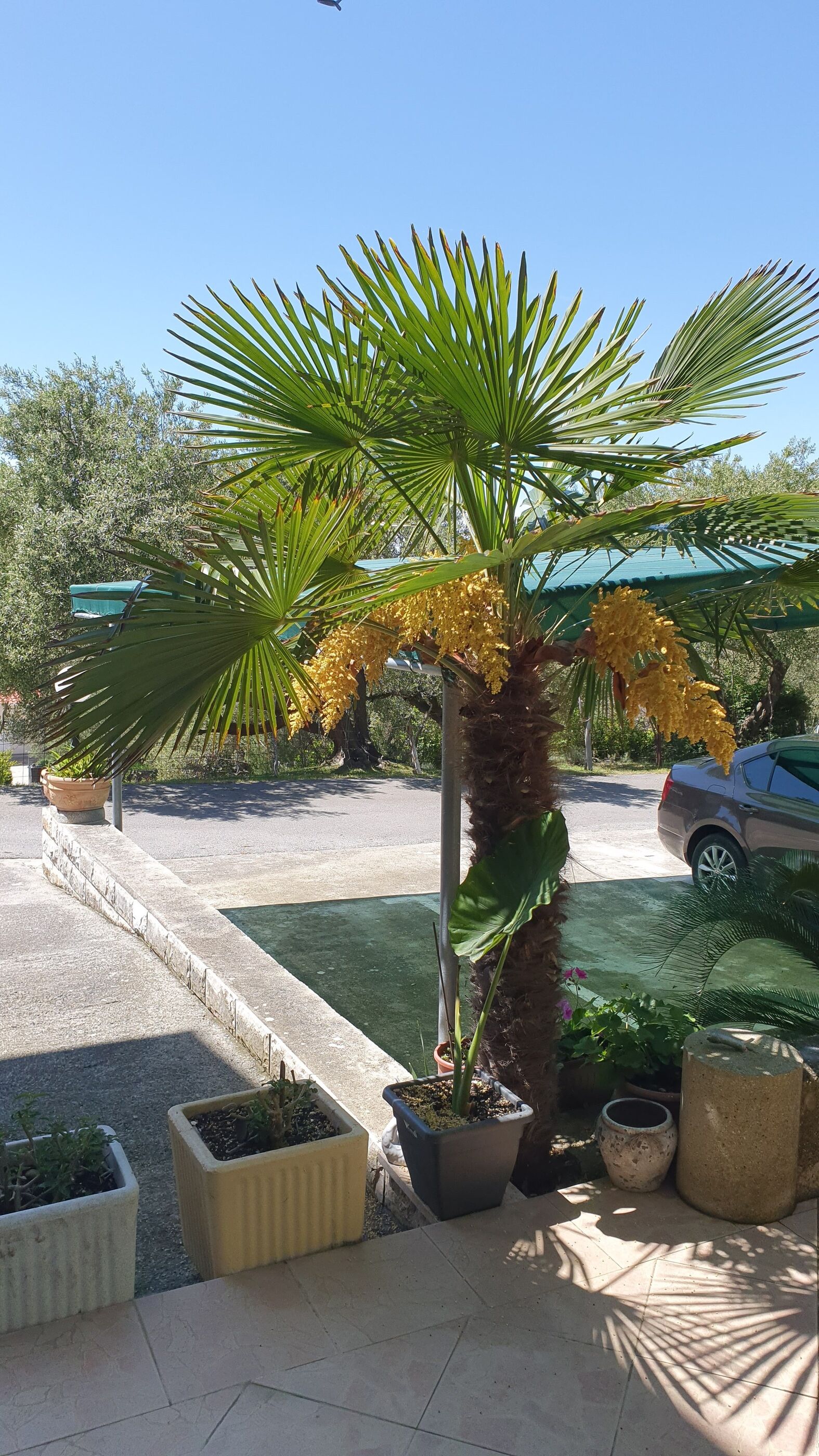 Apartments and Room Anica & Marko Accommodation in Rab