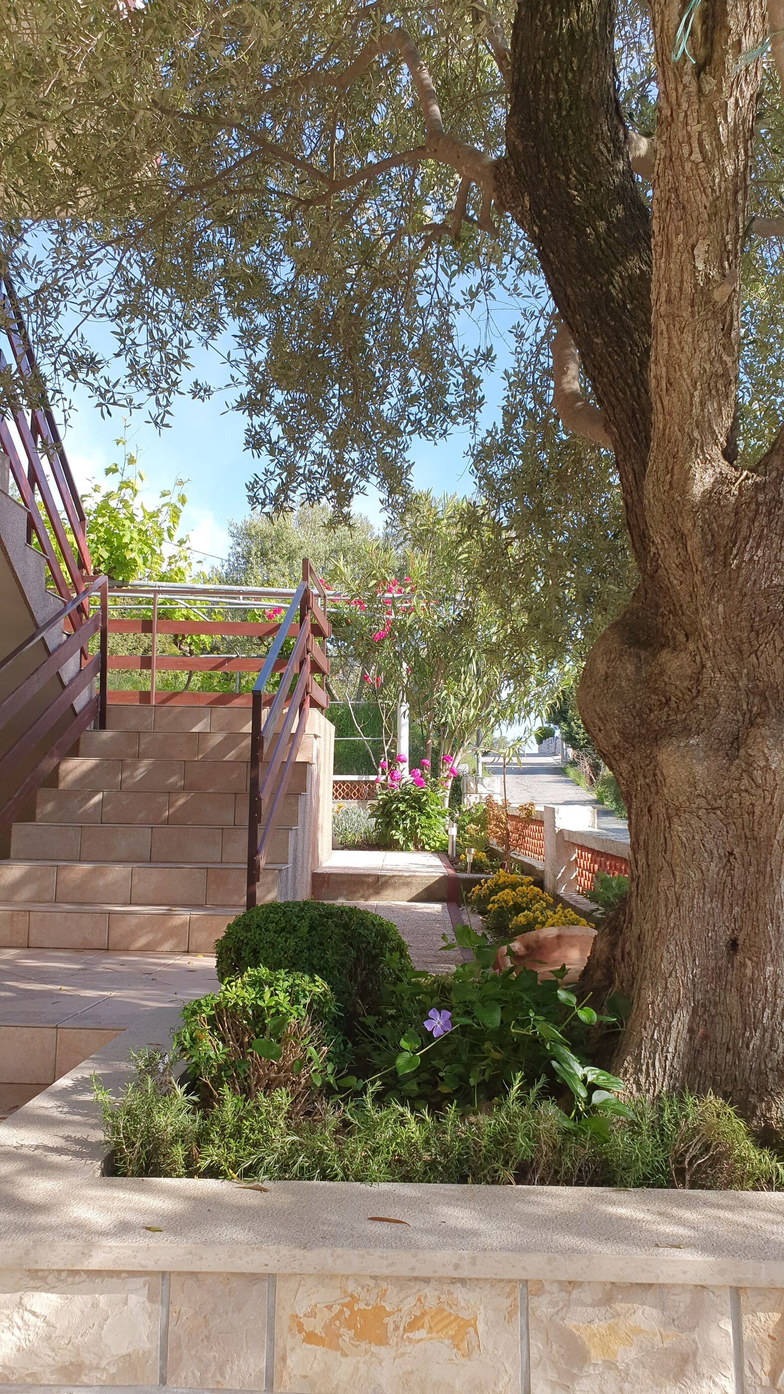 Photo of Apartments and Room Anica & Marko