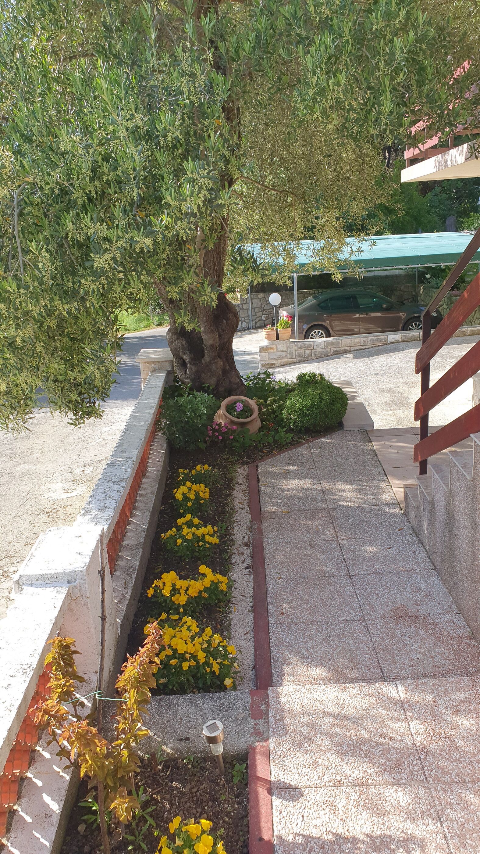 Apartments and Room Anica & Marko 116041-S1