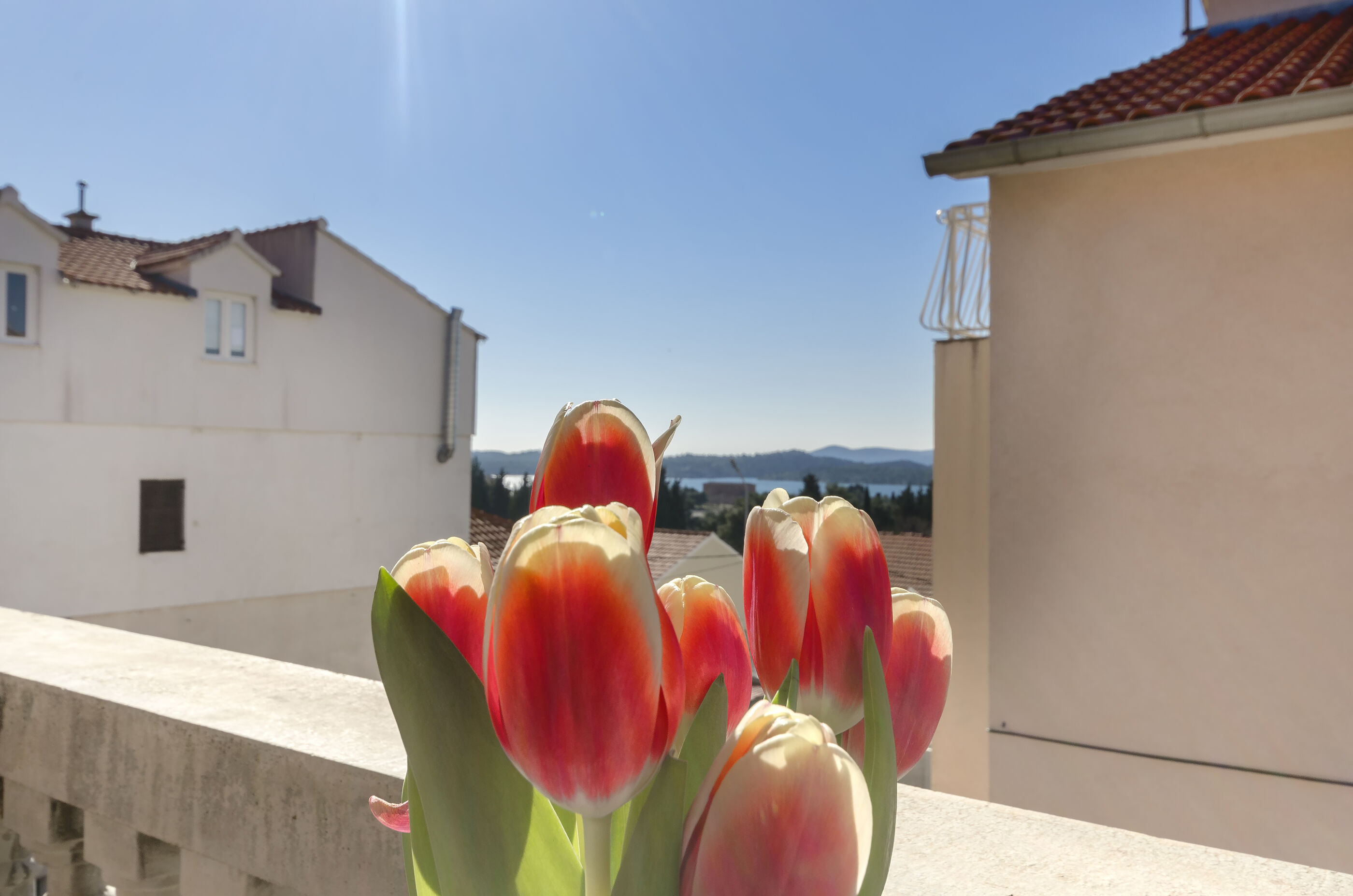 Apartment Miranda 116401-A1