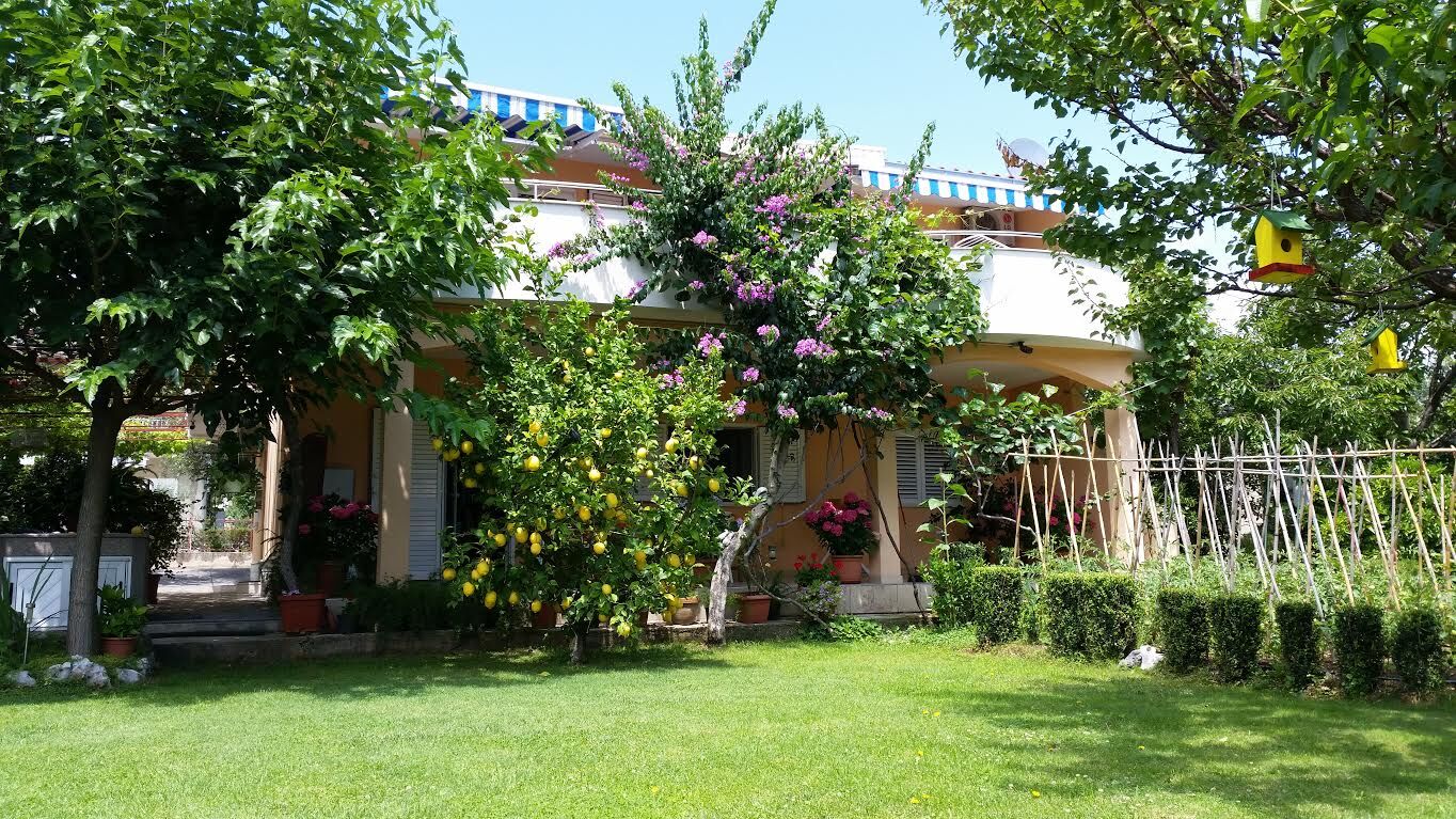 Apartments Ivo 116471-A2