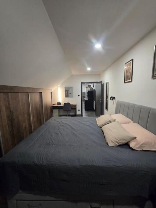 Apartment Pepper 116681-A1