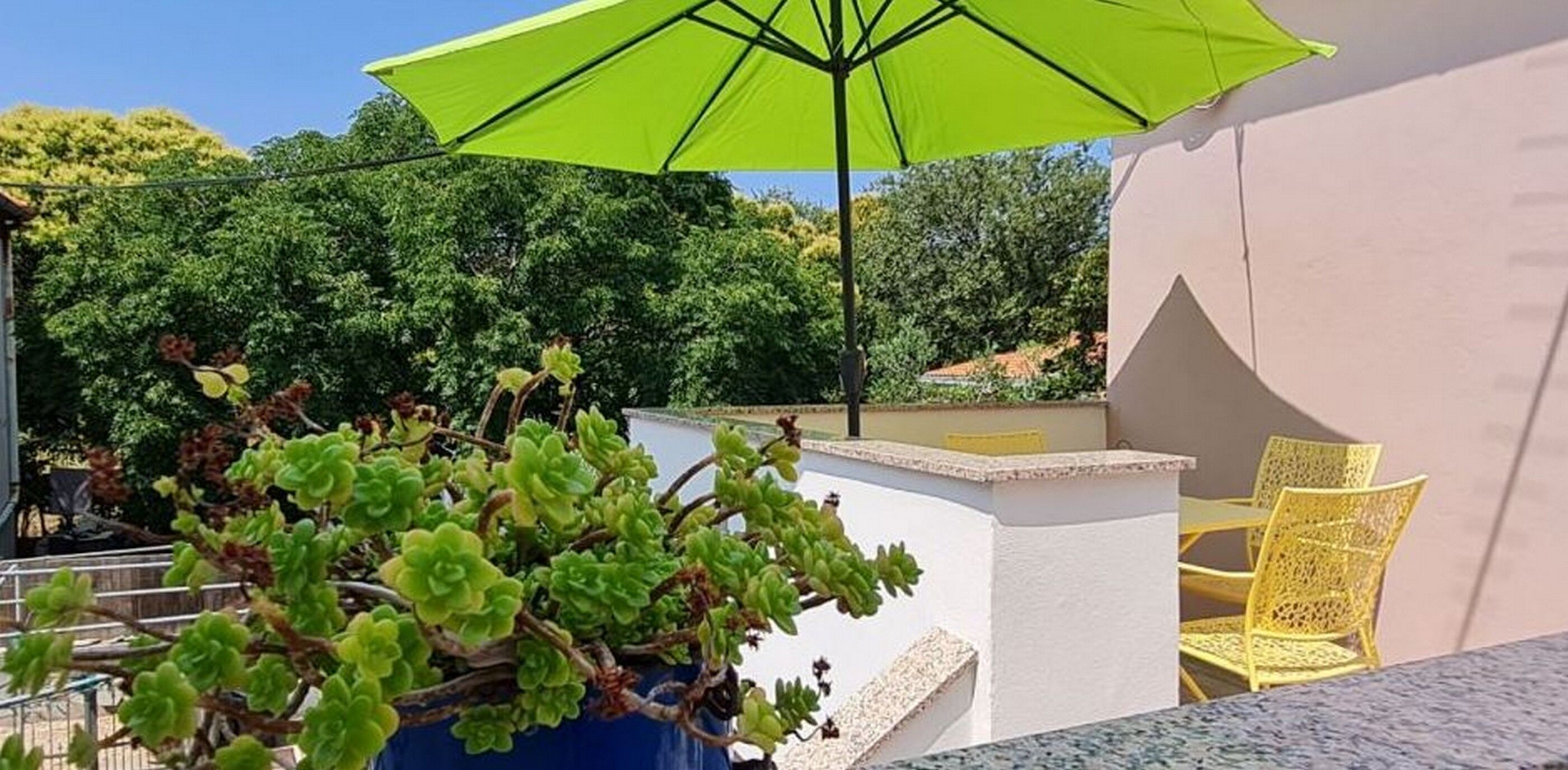 Apartments Studio Zaton near Zadar 116501-A1