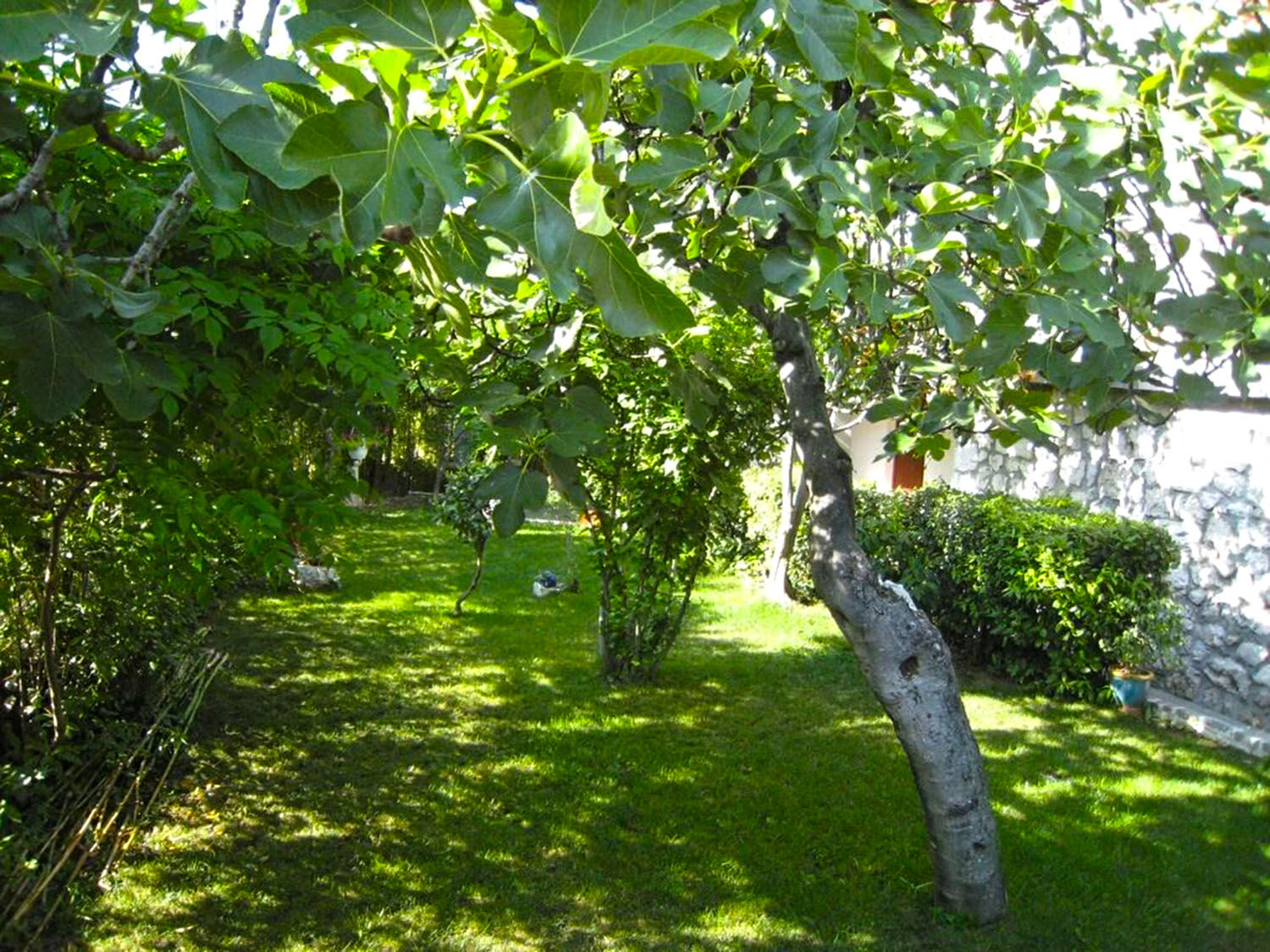 Apartment Renci 107851-A1
