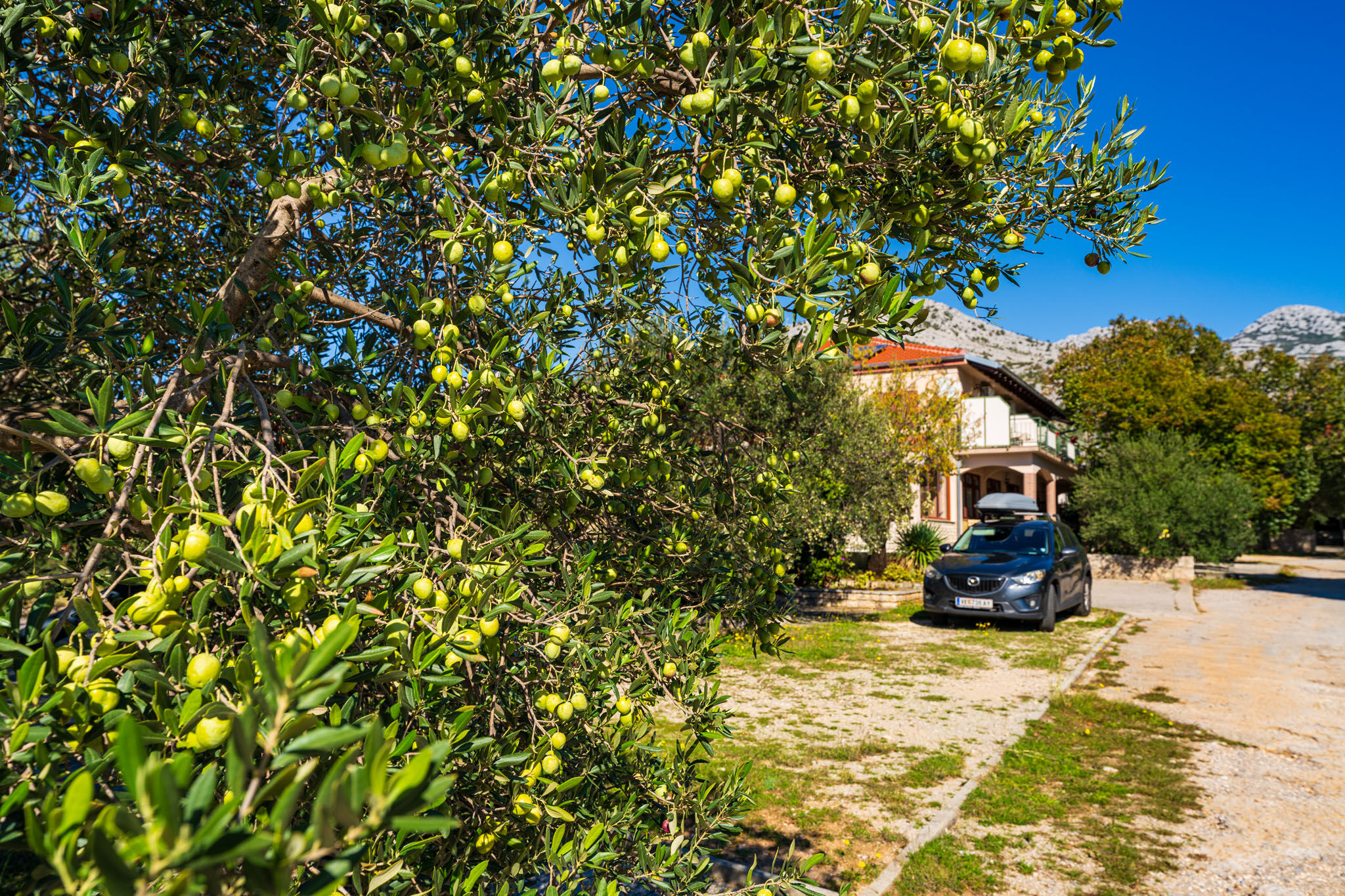 Apartments and Room Adriana 99281-A2