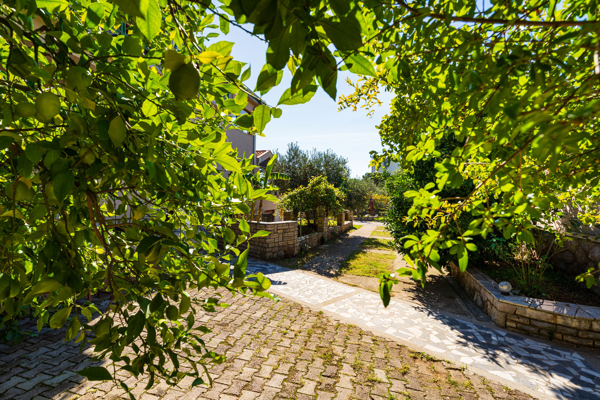 Apartments and Room Adriana 99281-A5