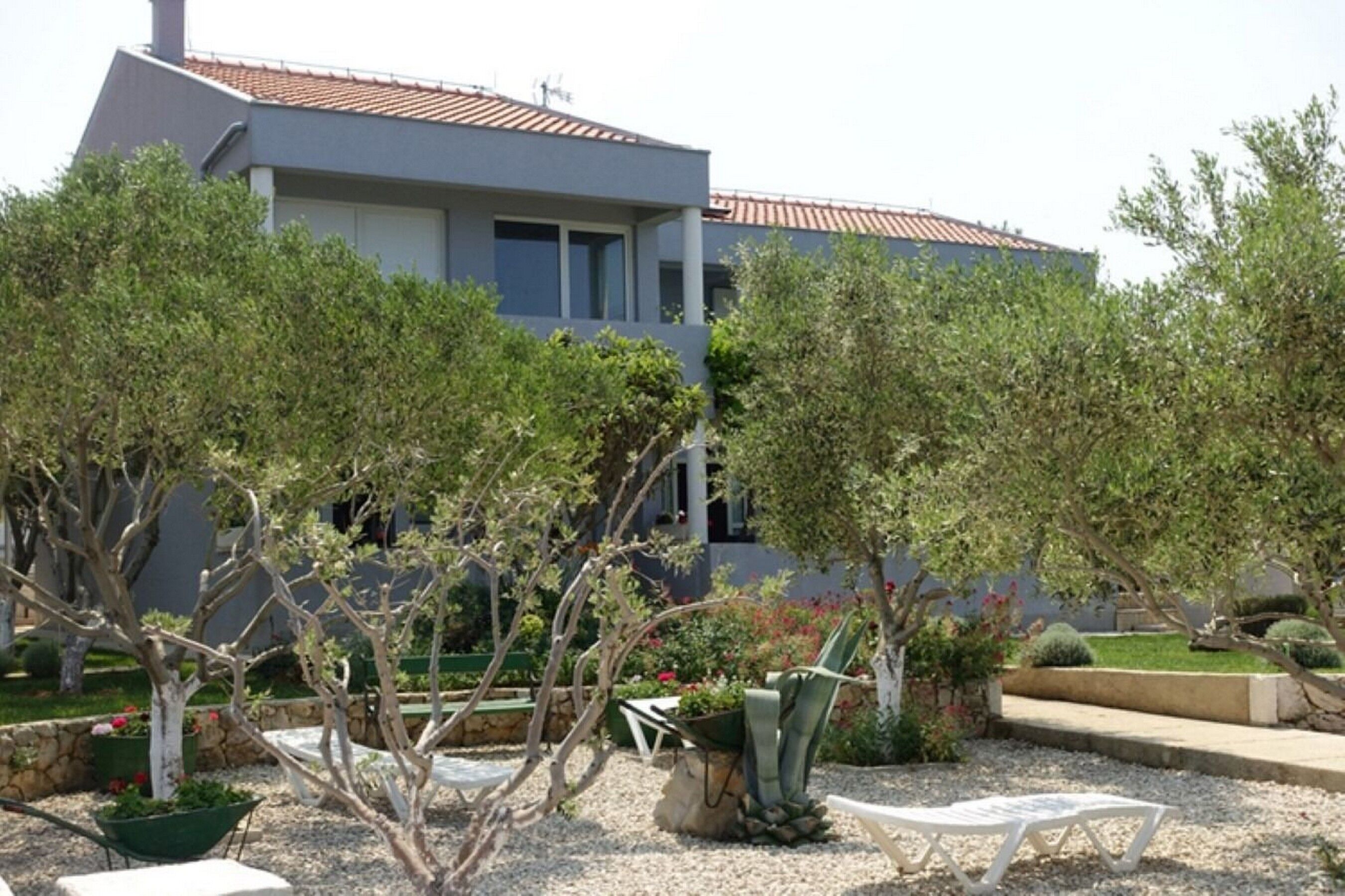 Apartments Ivo Accommodation in Zadar