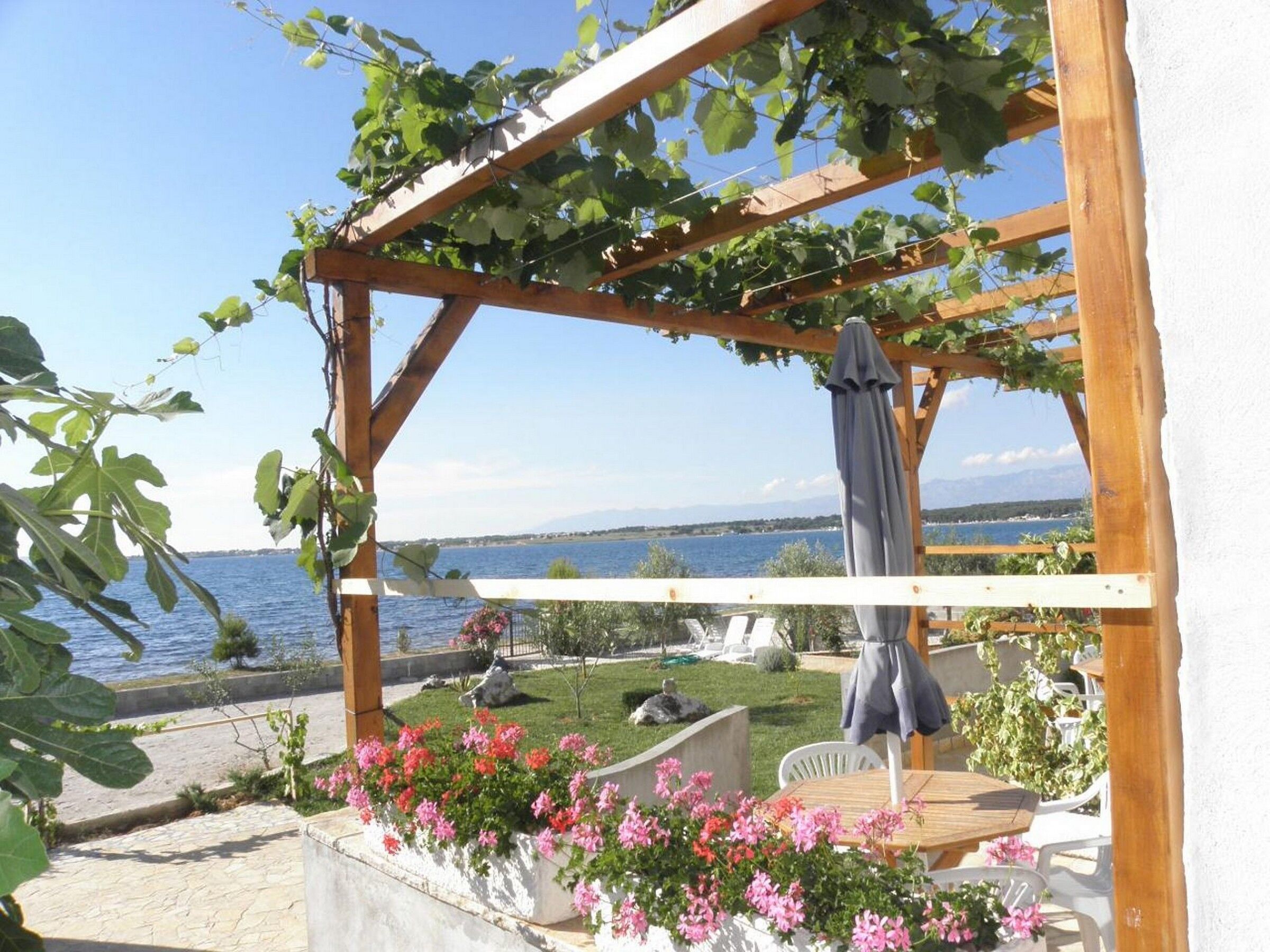 Photo of Apartments Ivo