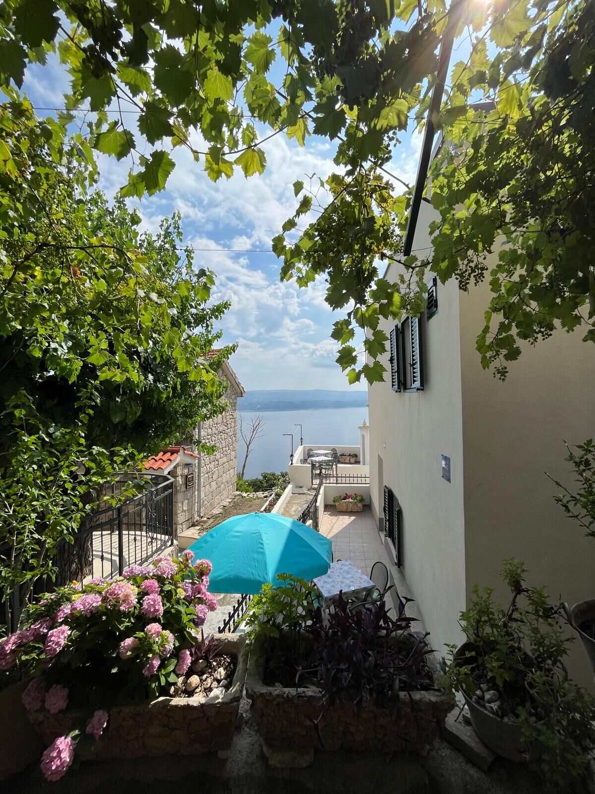 Apartments Marko A1