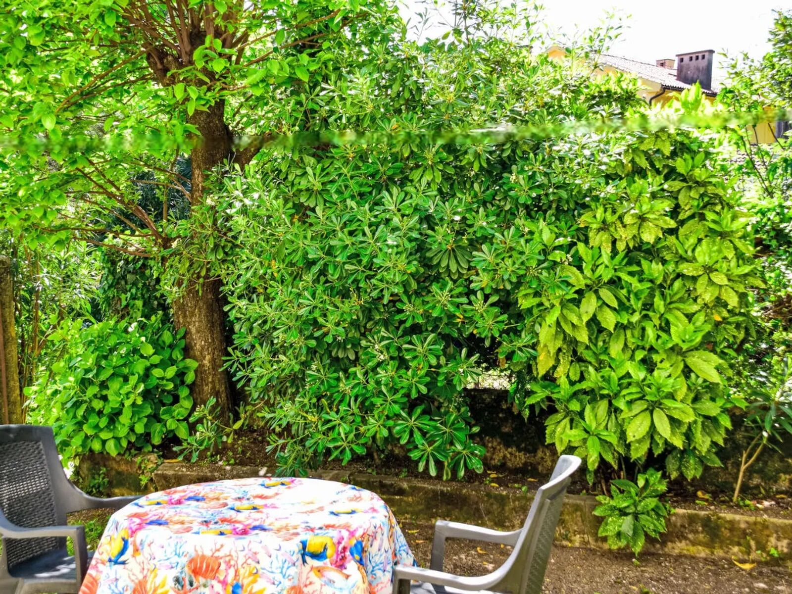 Photo of Apartment Volosko for two