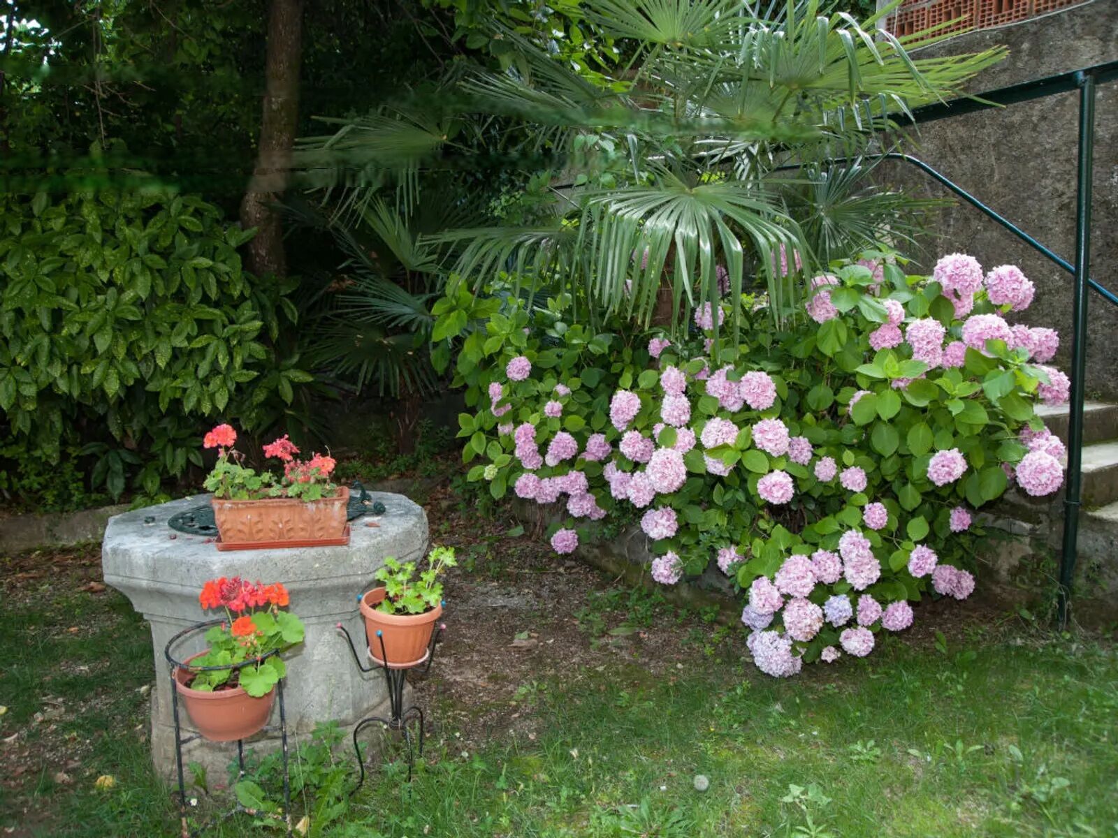 Photo of Apartment Volosko for two