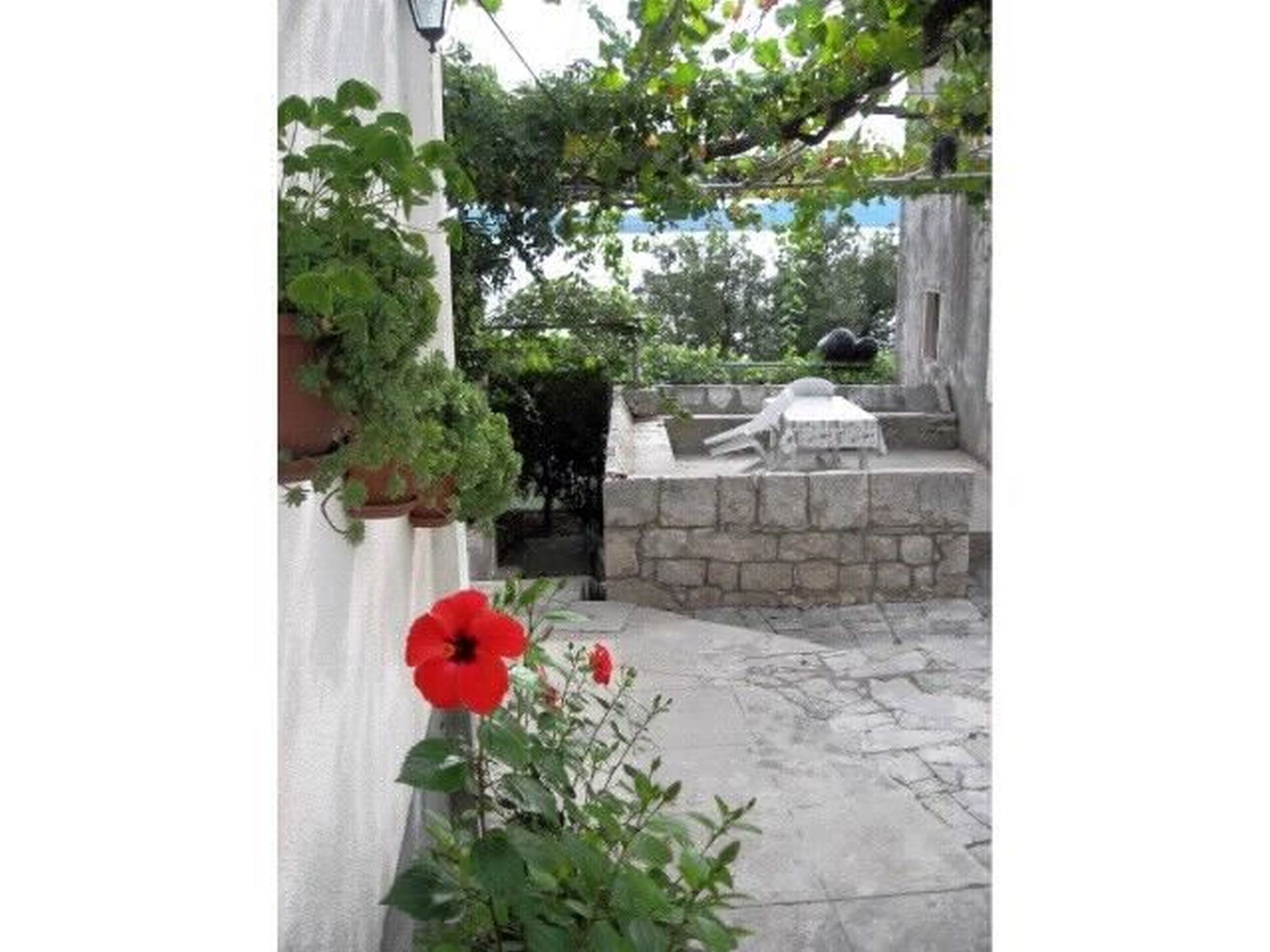 Photo of House Antun