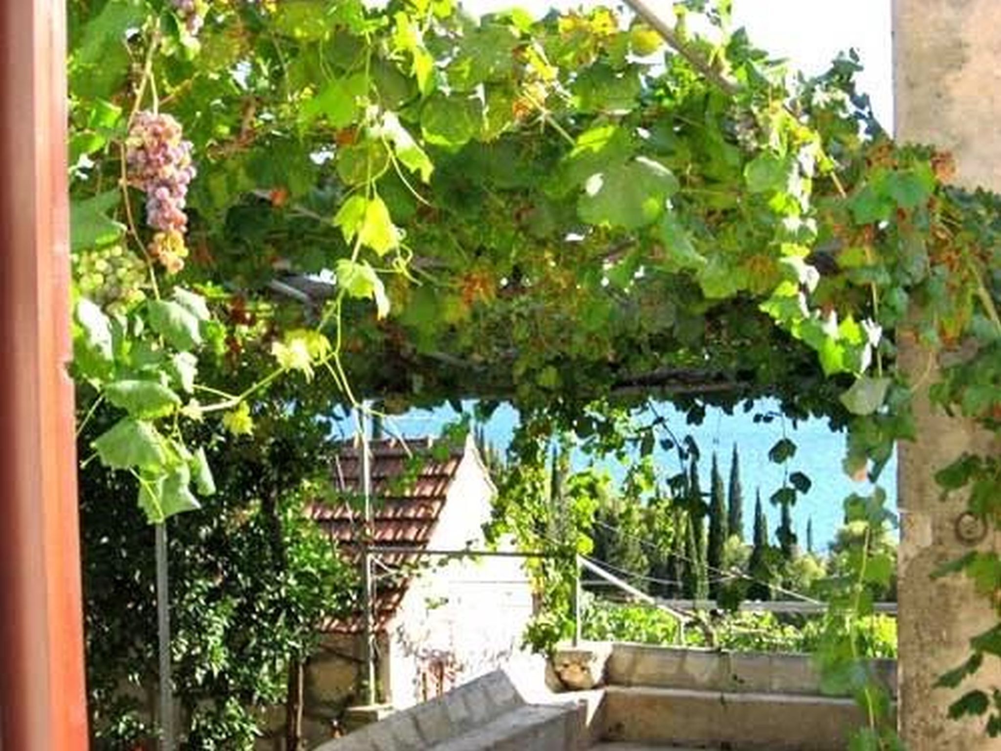 Photo of House Antun