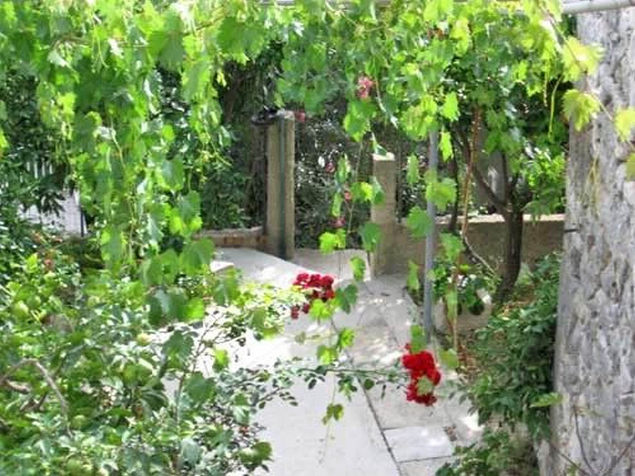 Photo of House Antun