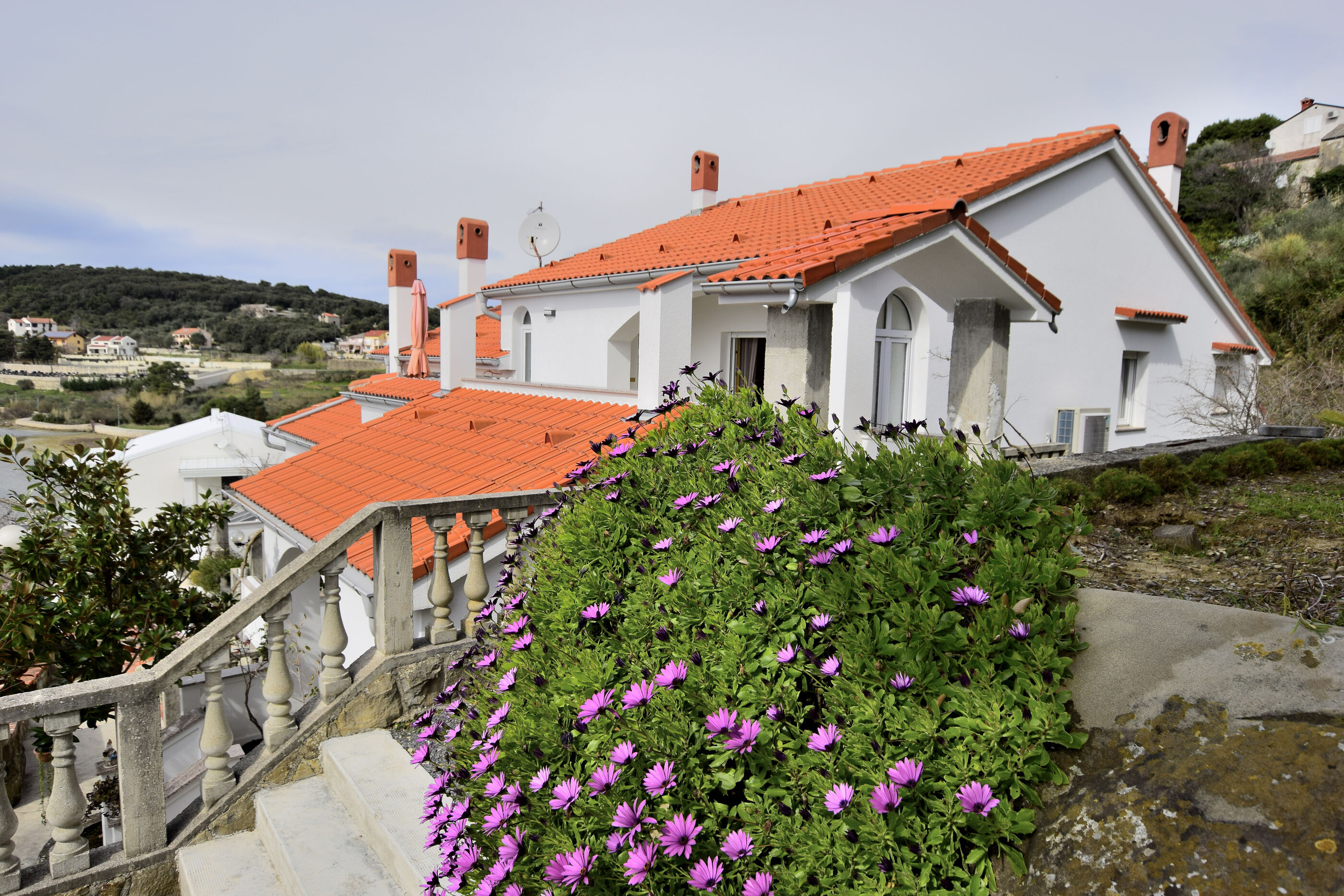 Photo of Apartment Vidas