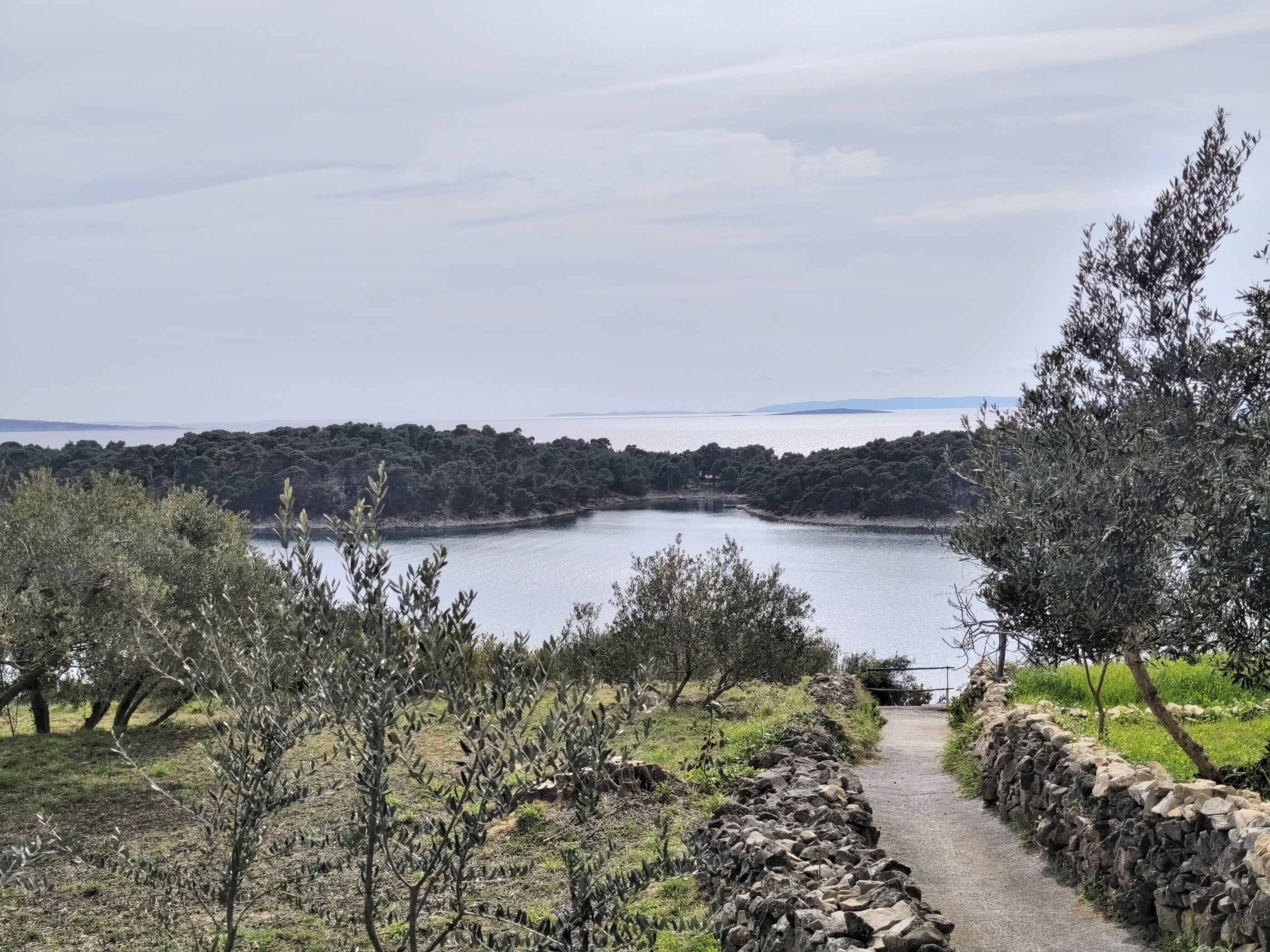 Photo of Apartment Vidas