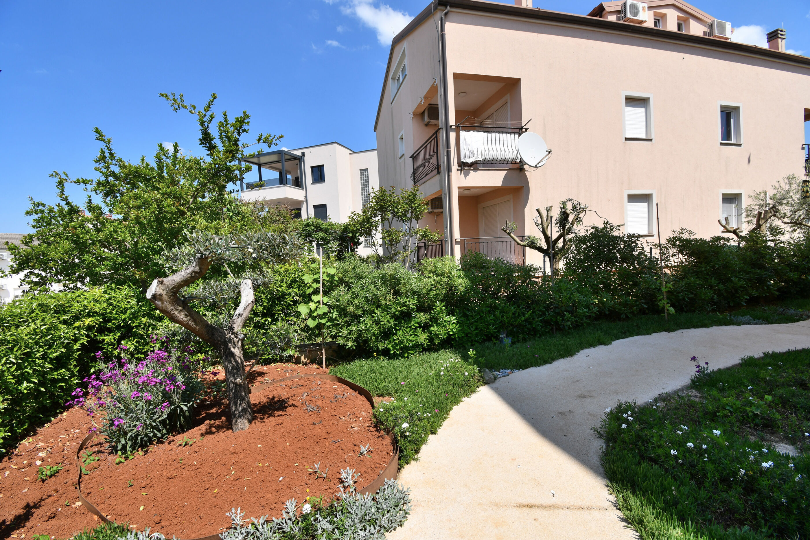 Photo of Apartment Beba